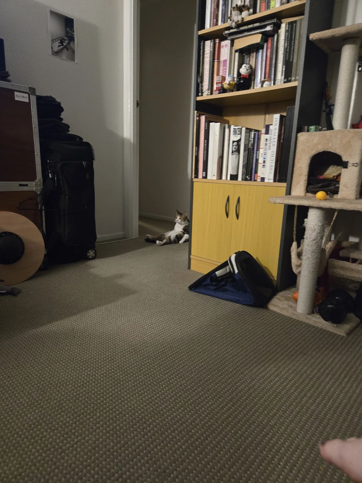 image-10