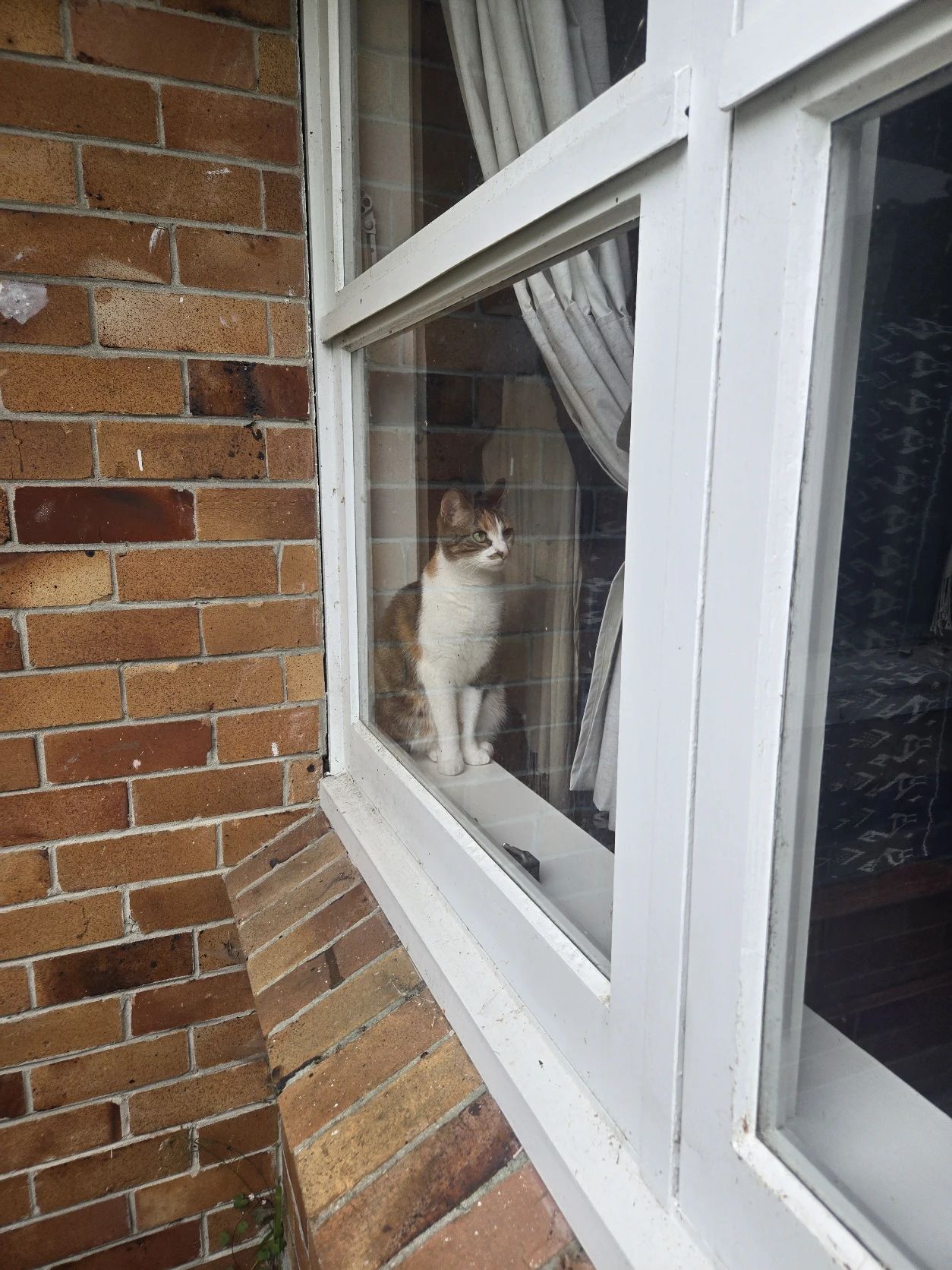 image-14