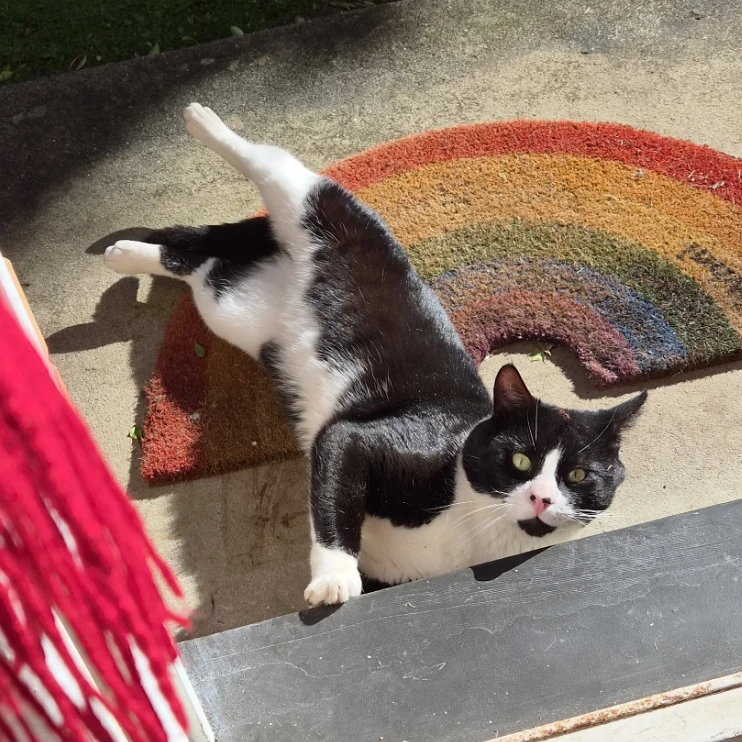 Oscar