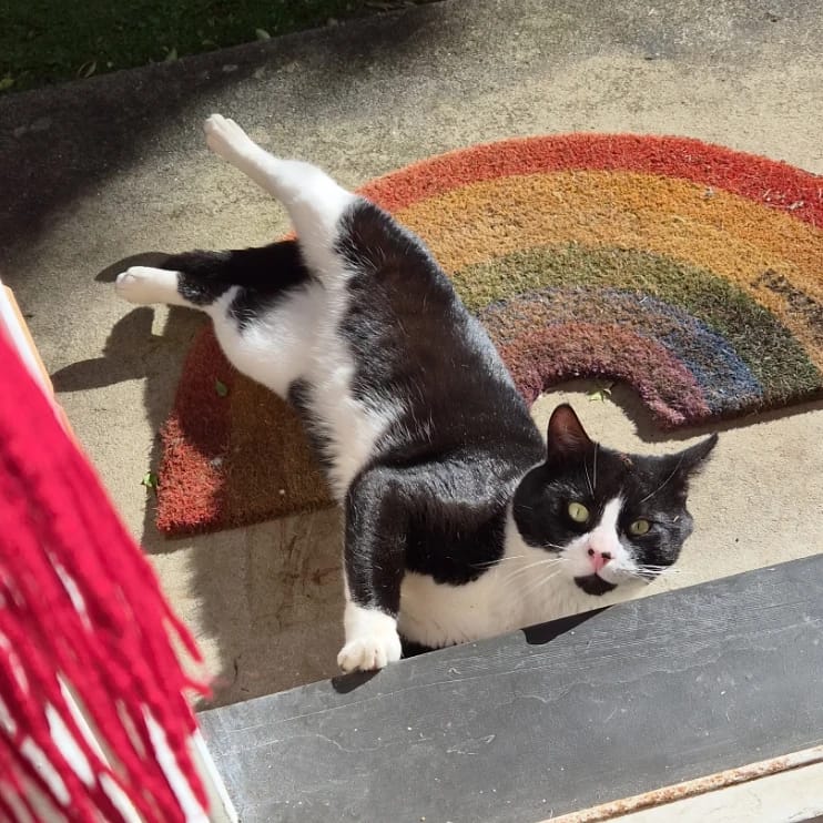 Oscar