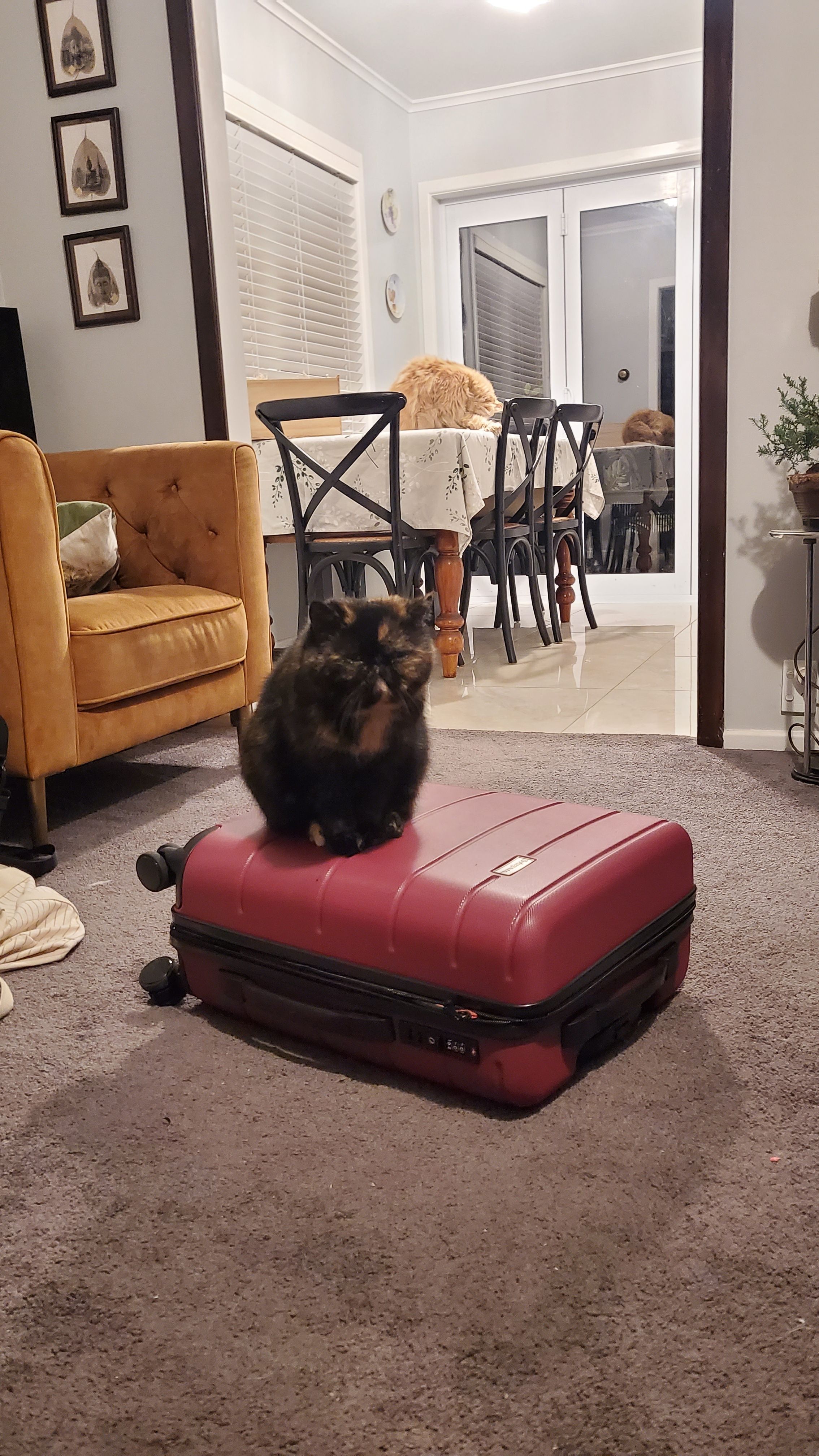 image-12