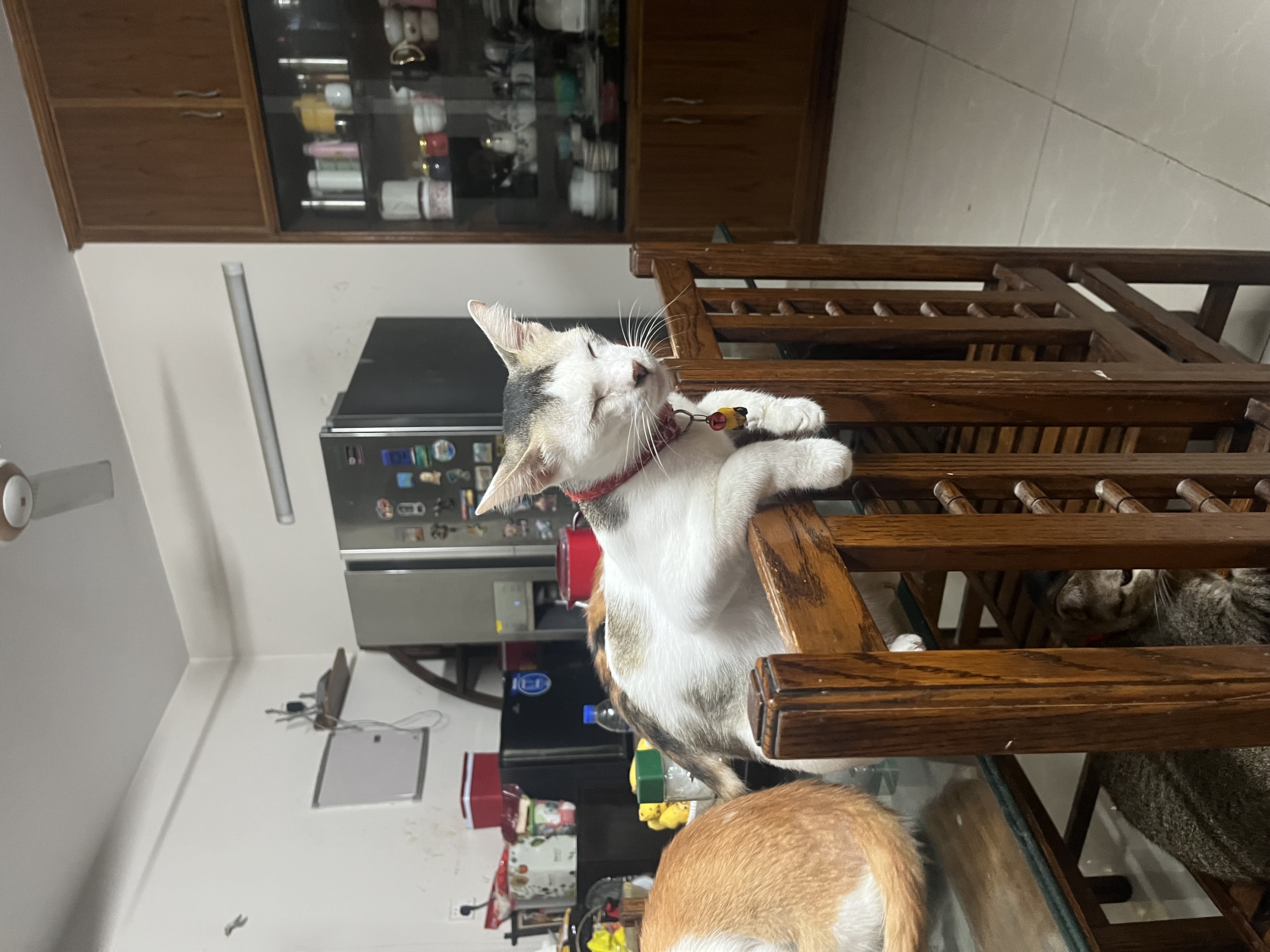 image-2