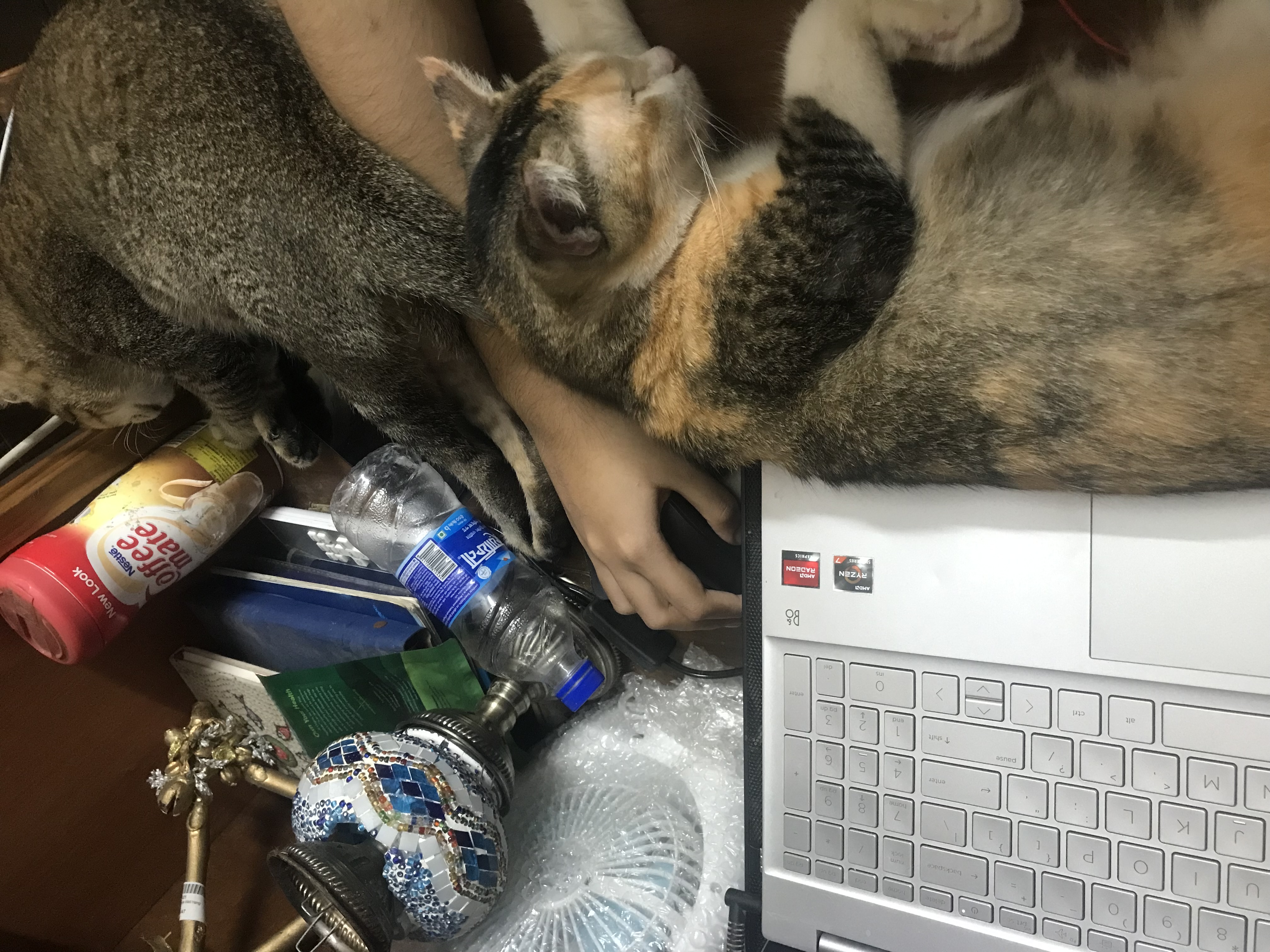image-10