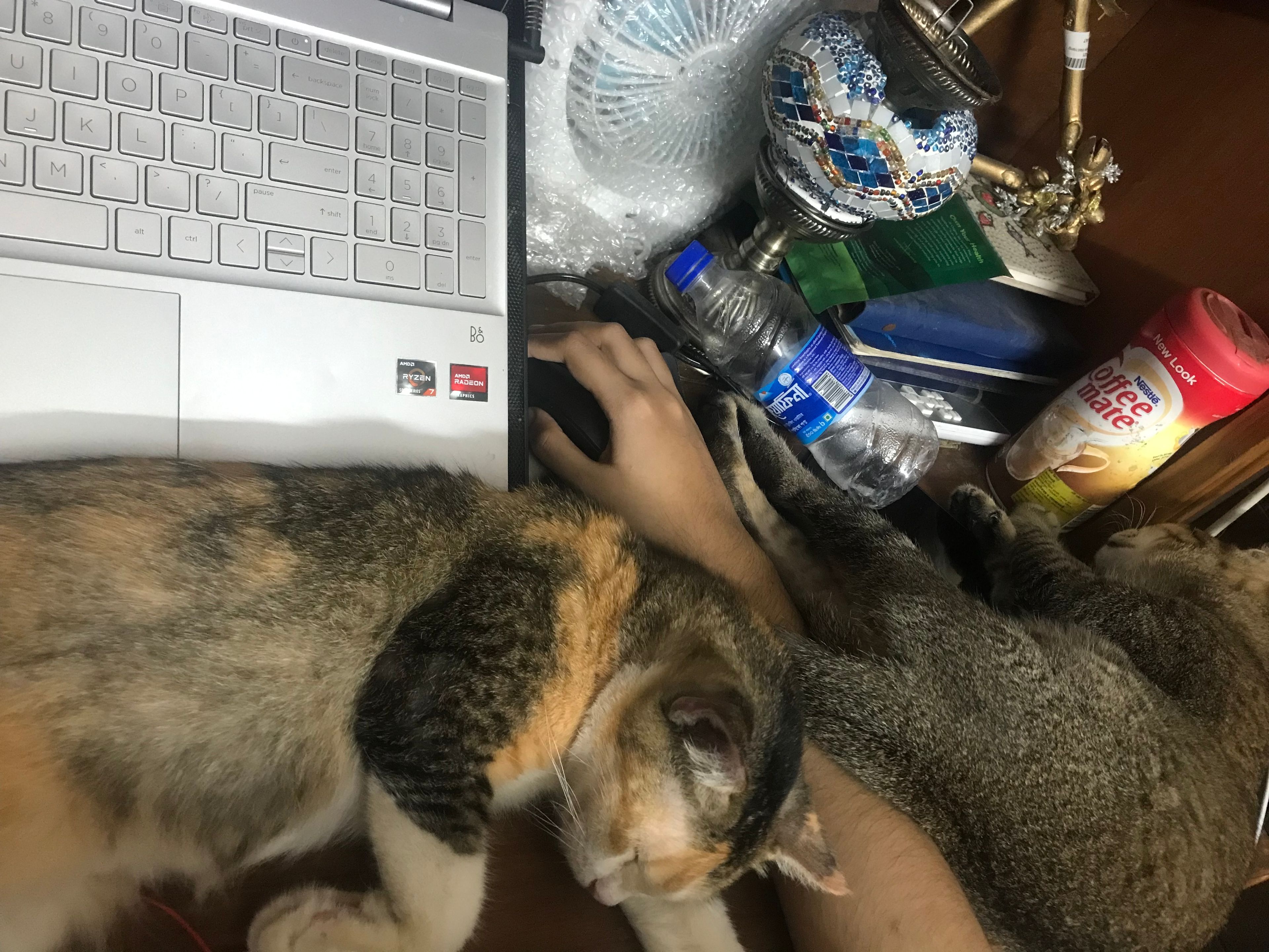 image-10