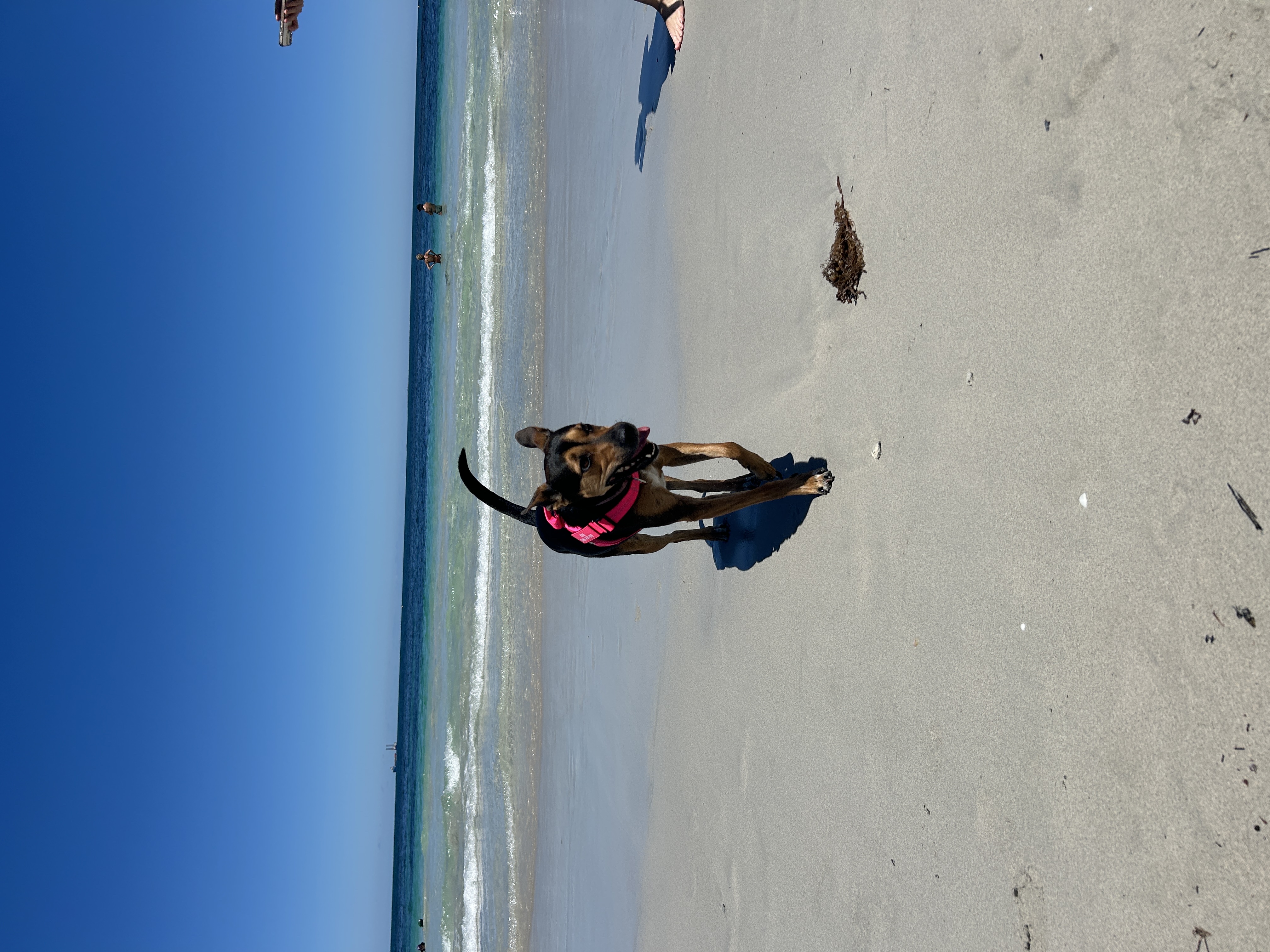 image-6