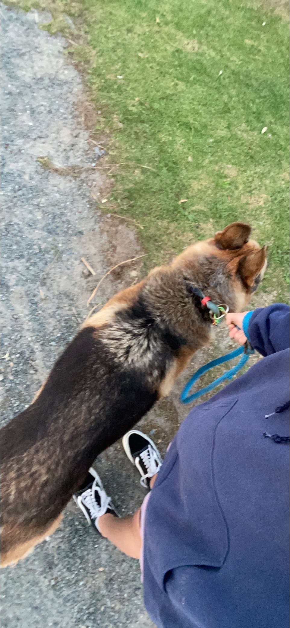 image-10