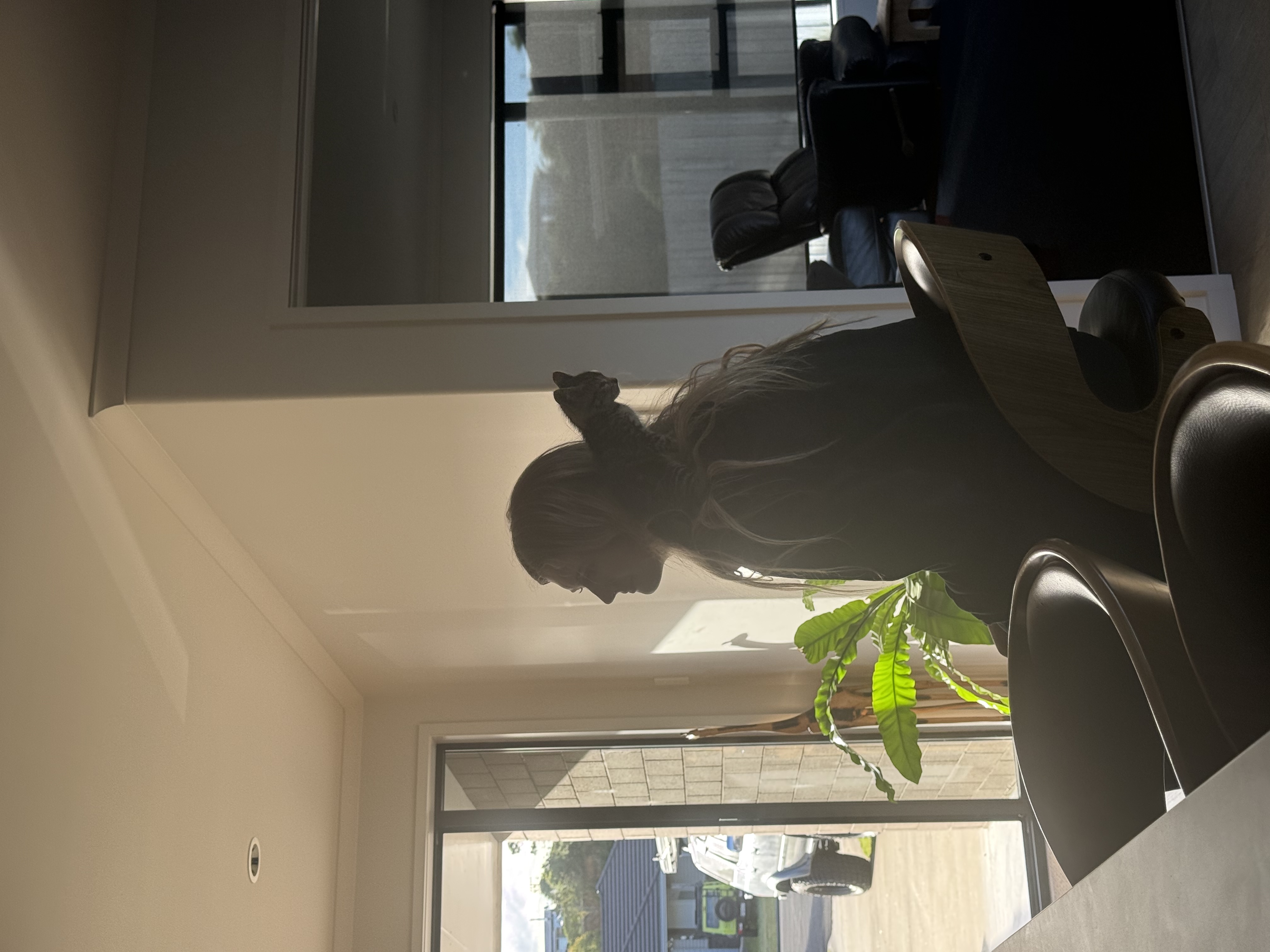 image-11