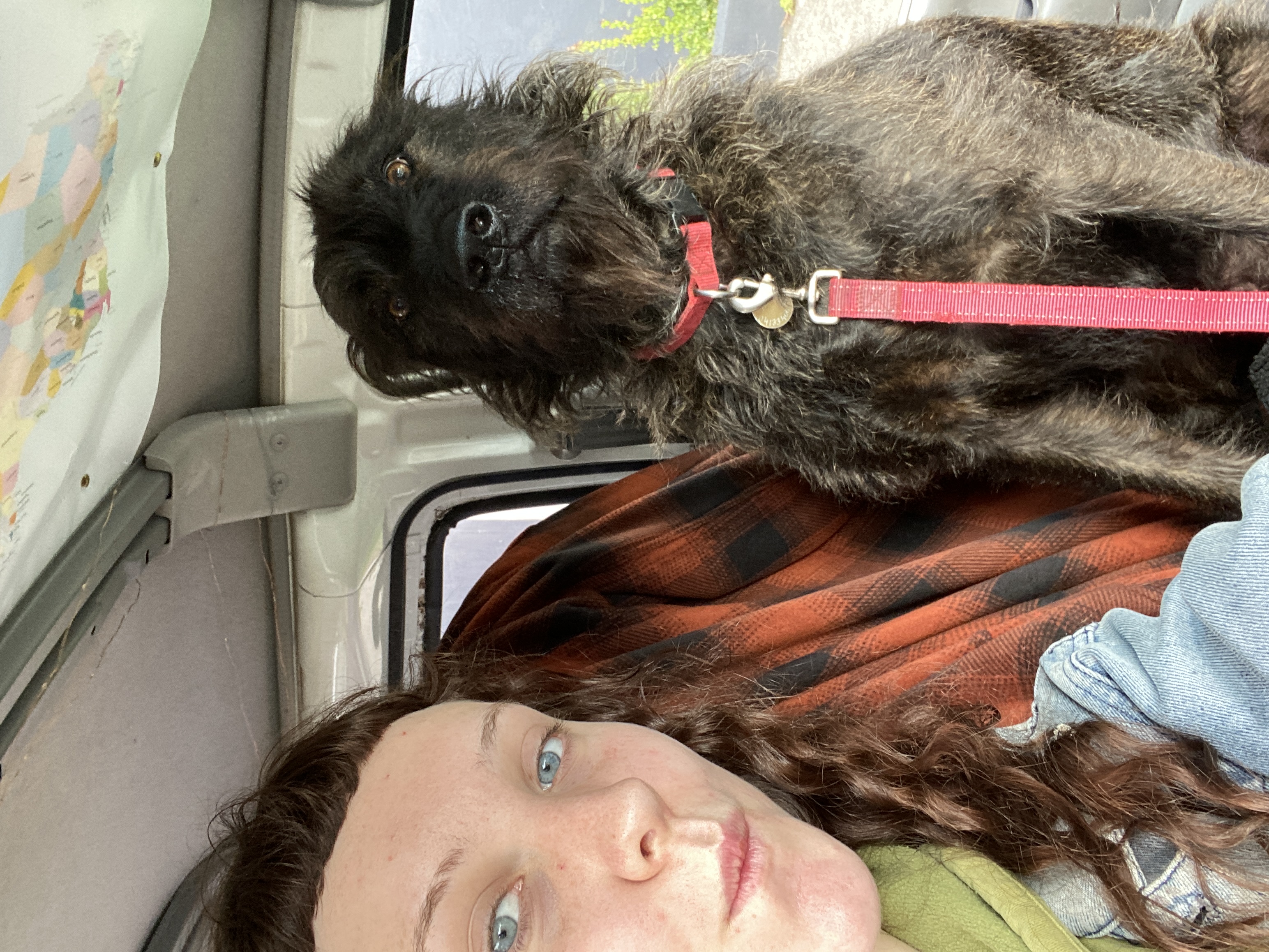 image-6