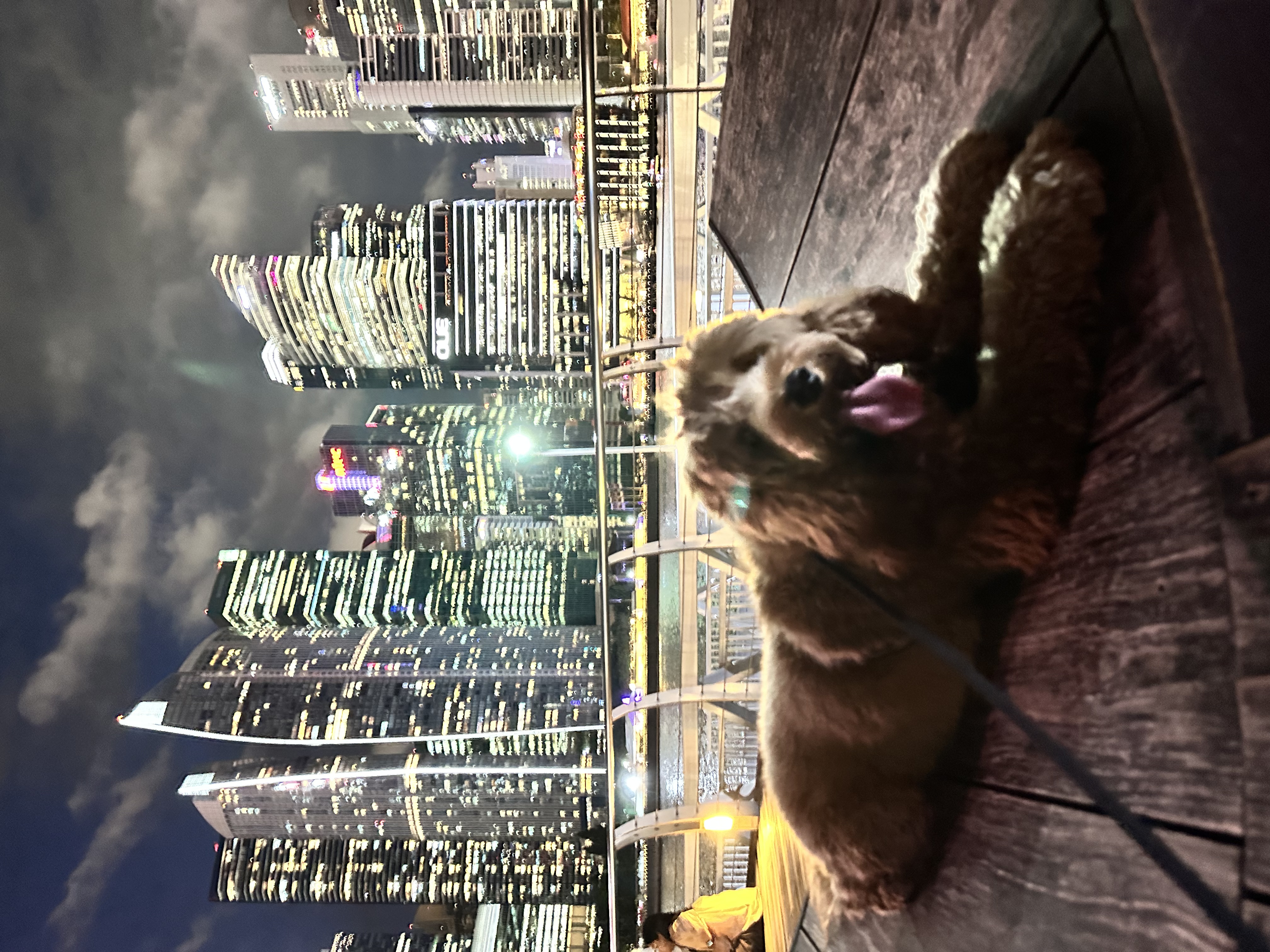 image-10