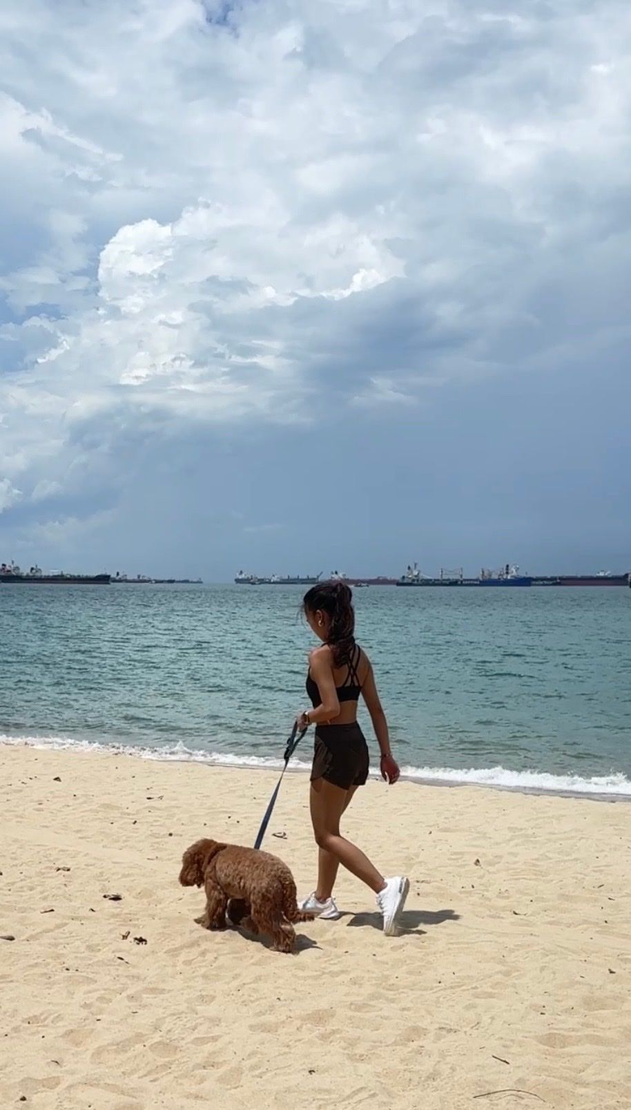 image-9