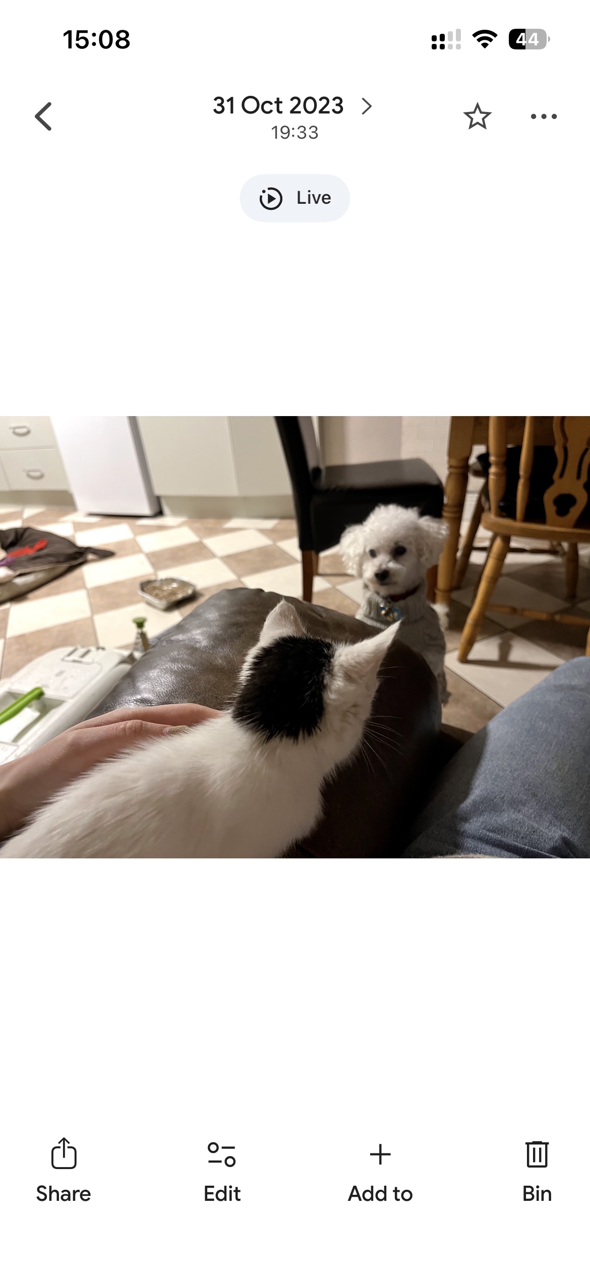 image-10