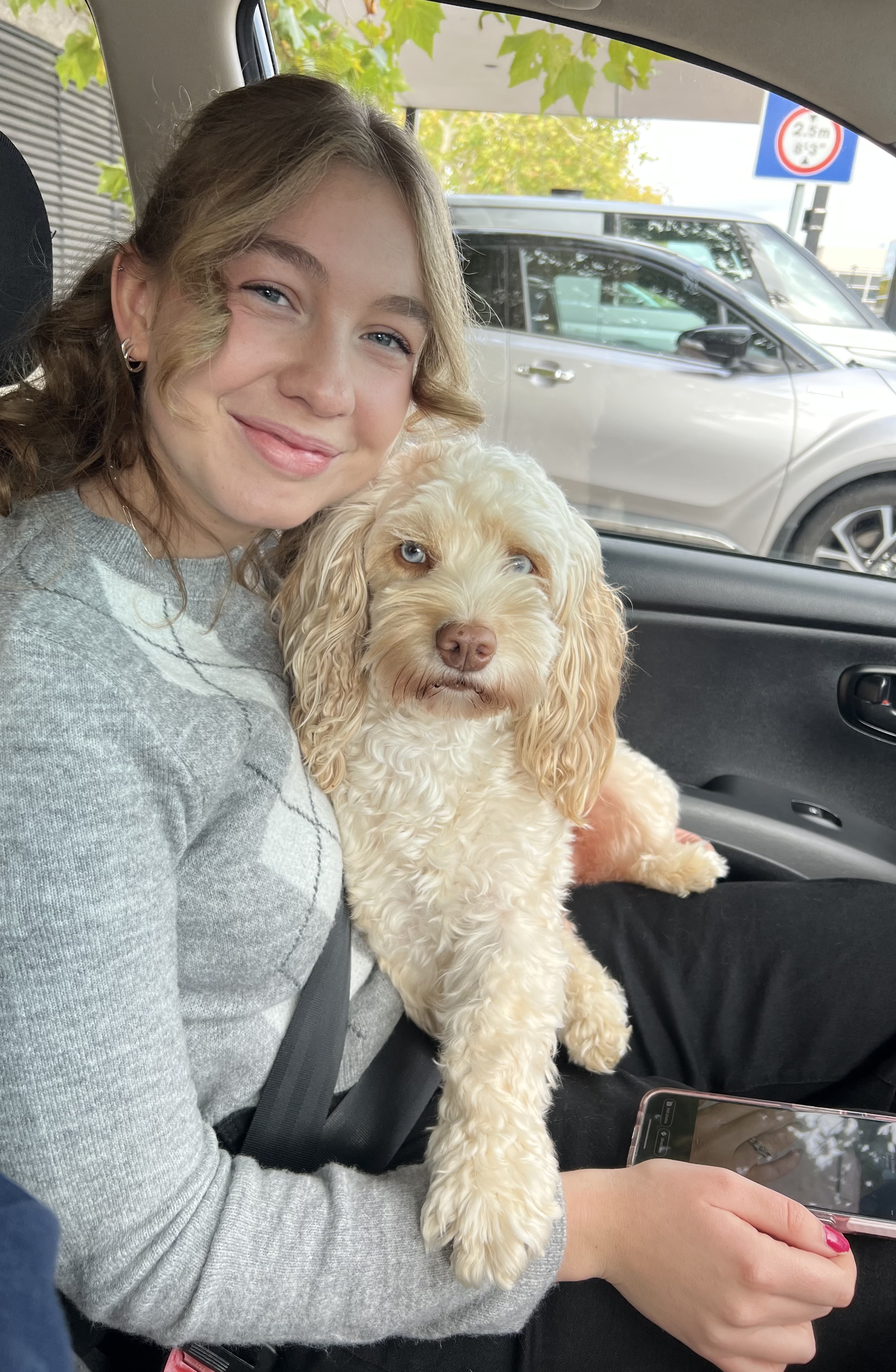 image-3
