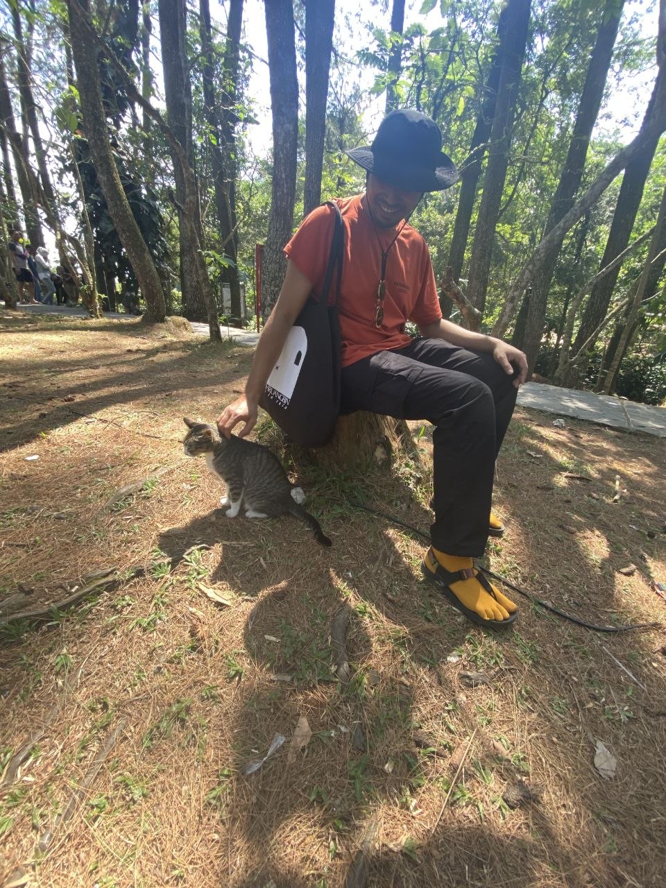 image-8