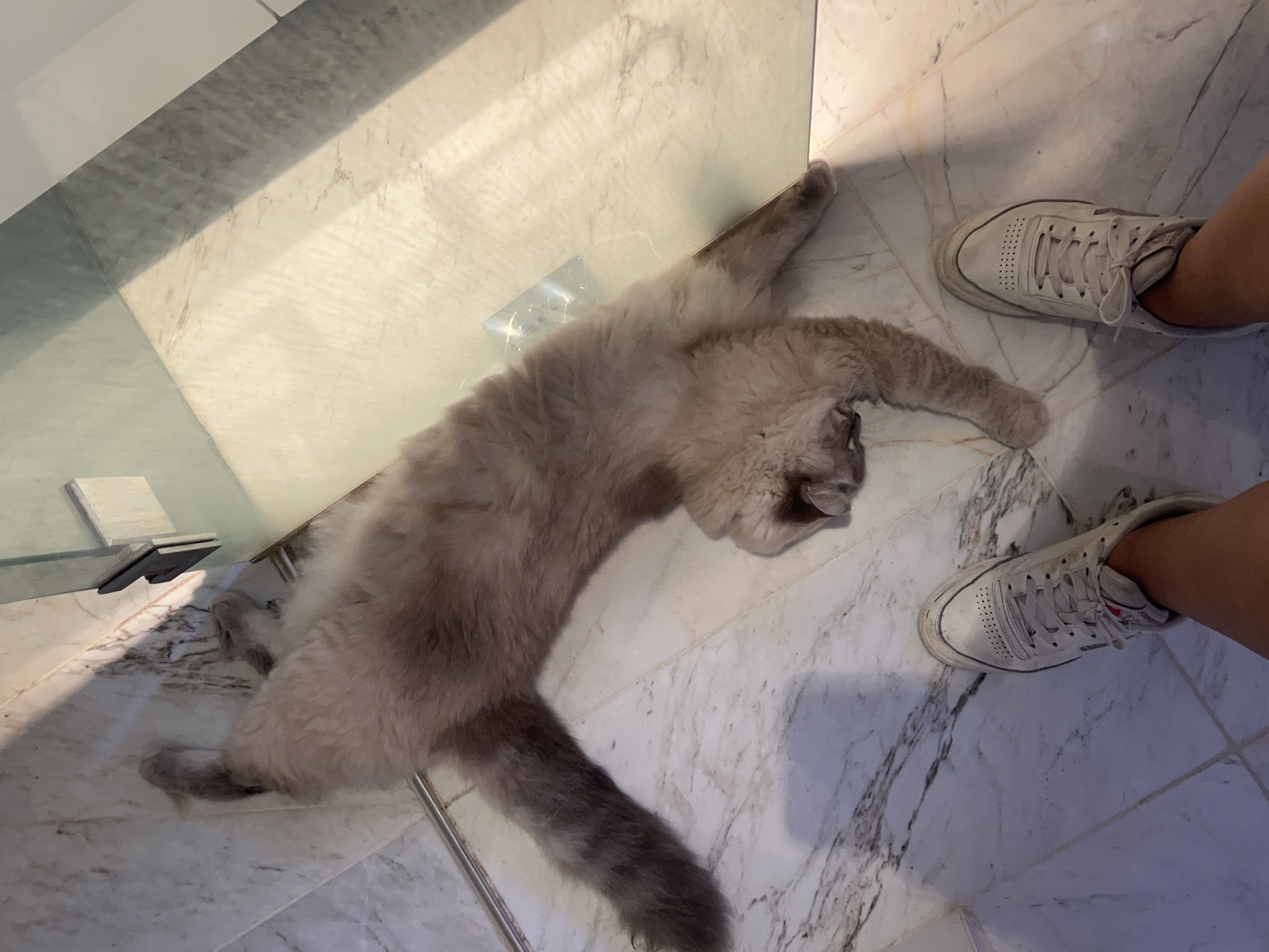 image-6