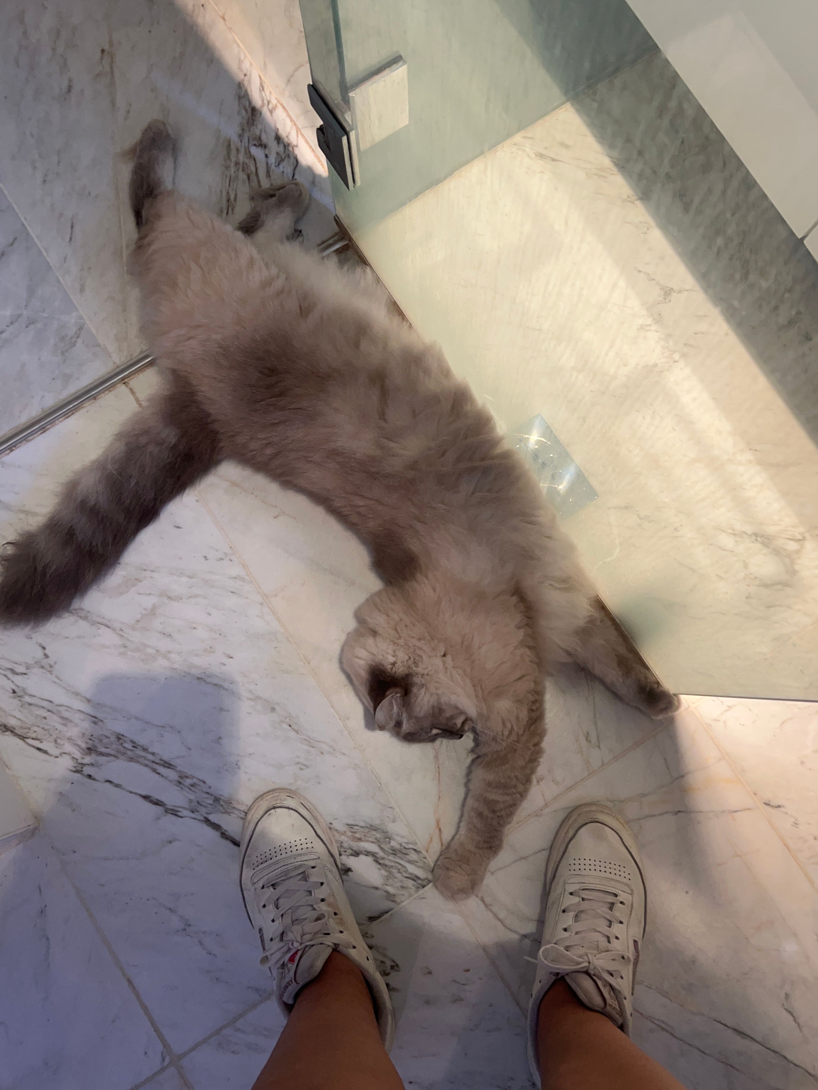 image-6