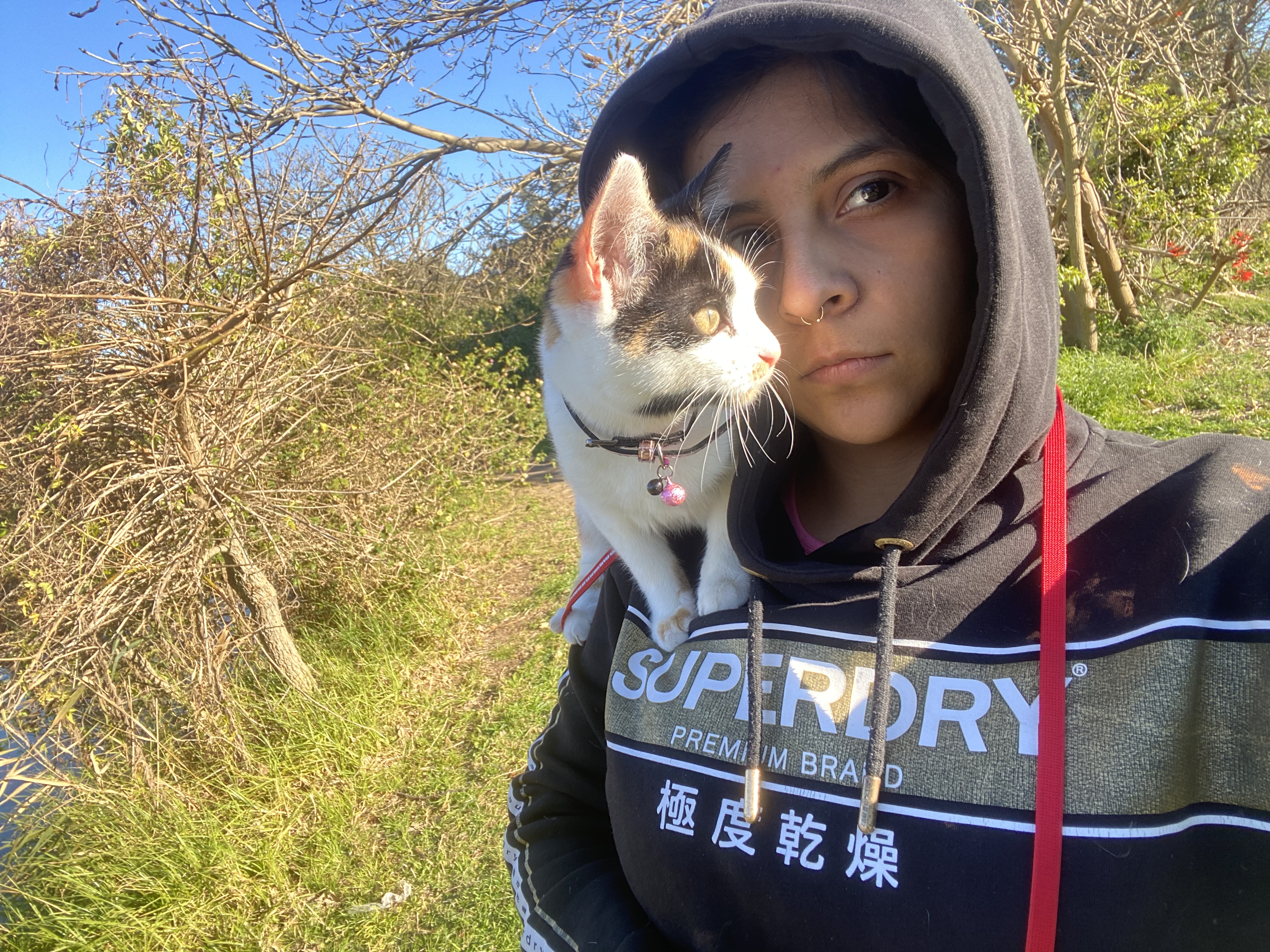 image-8