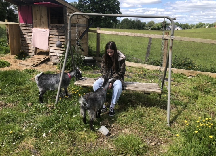 image-11