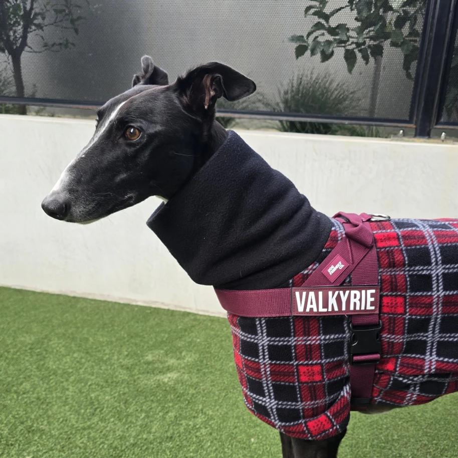 Valkyrie