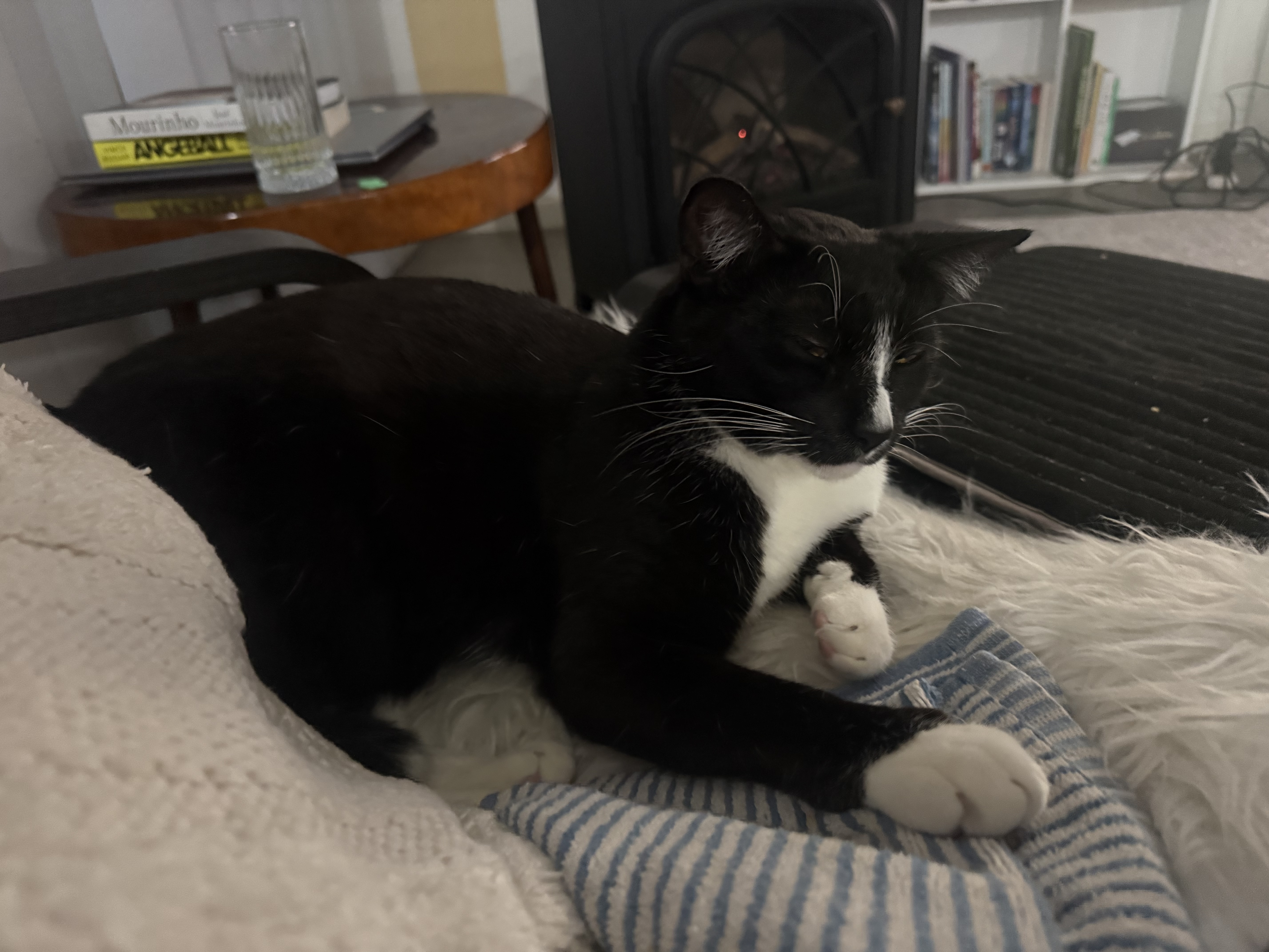 image-10