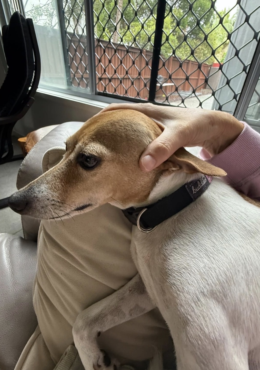 image-11