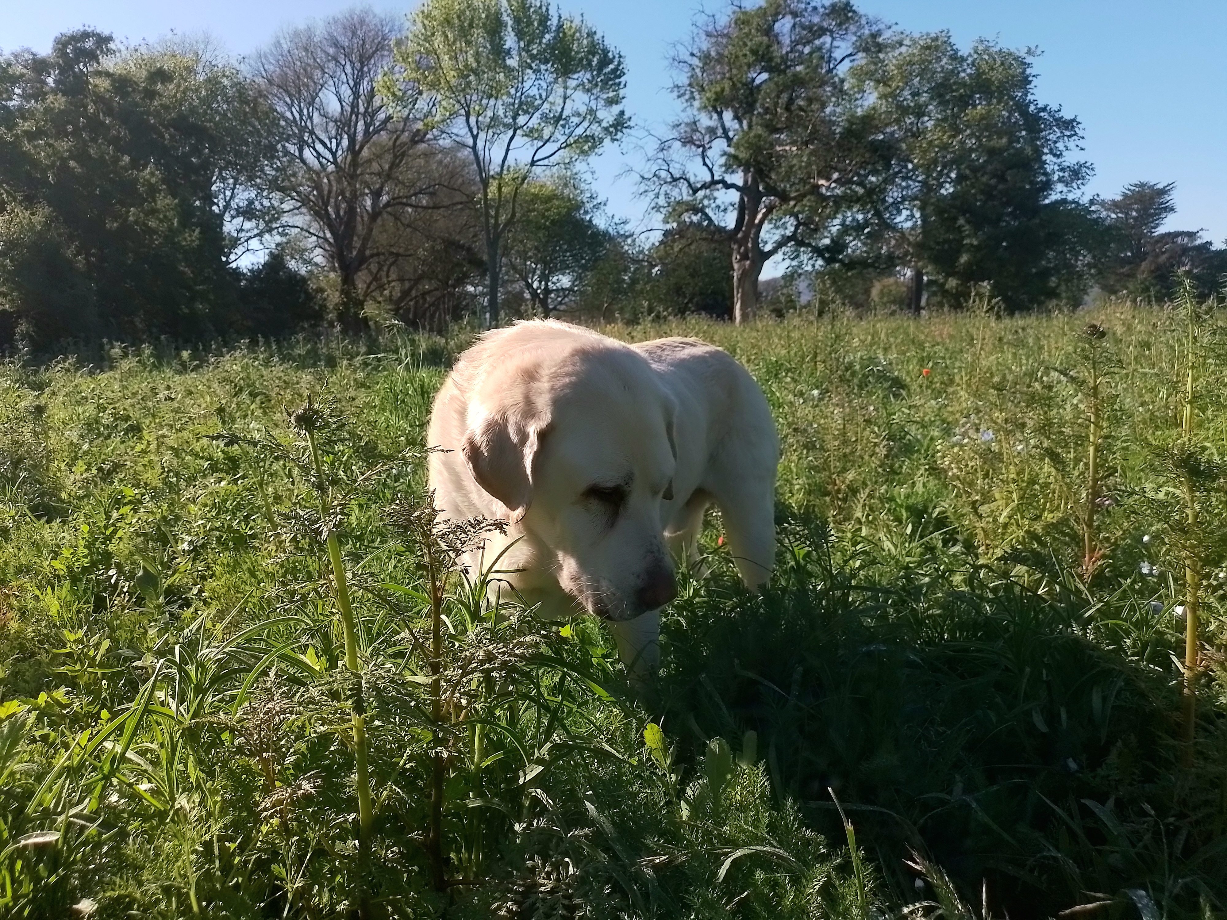 image-5
