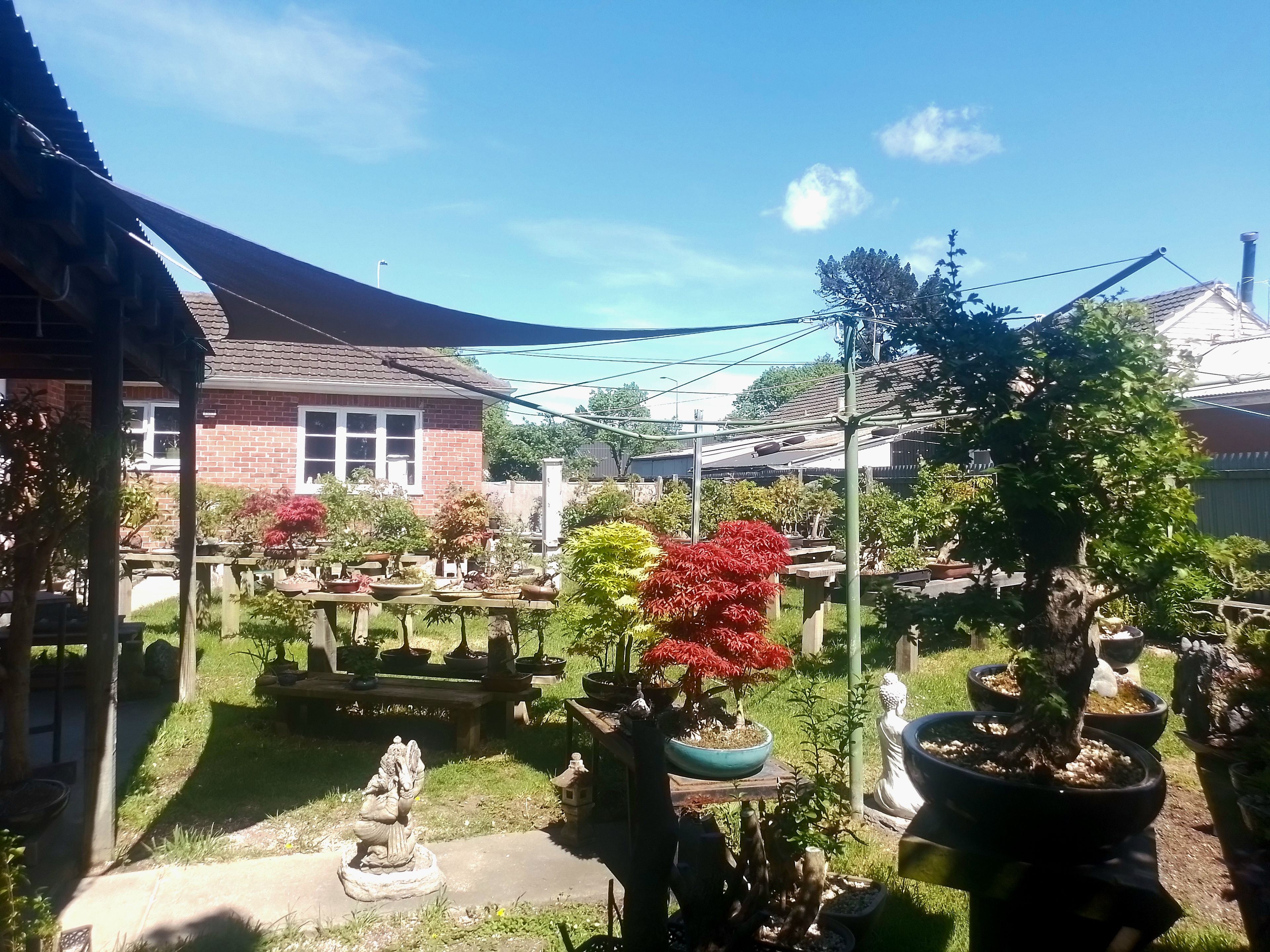 image-14