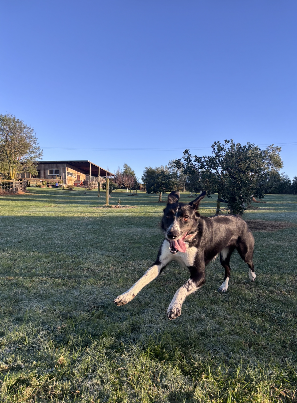 image-6