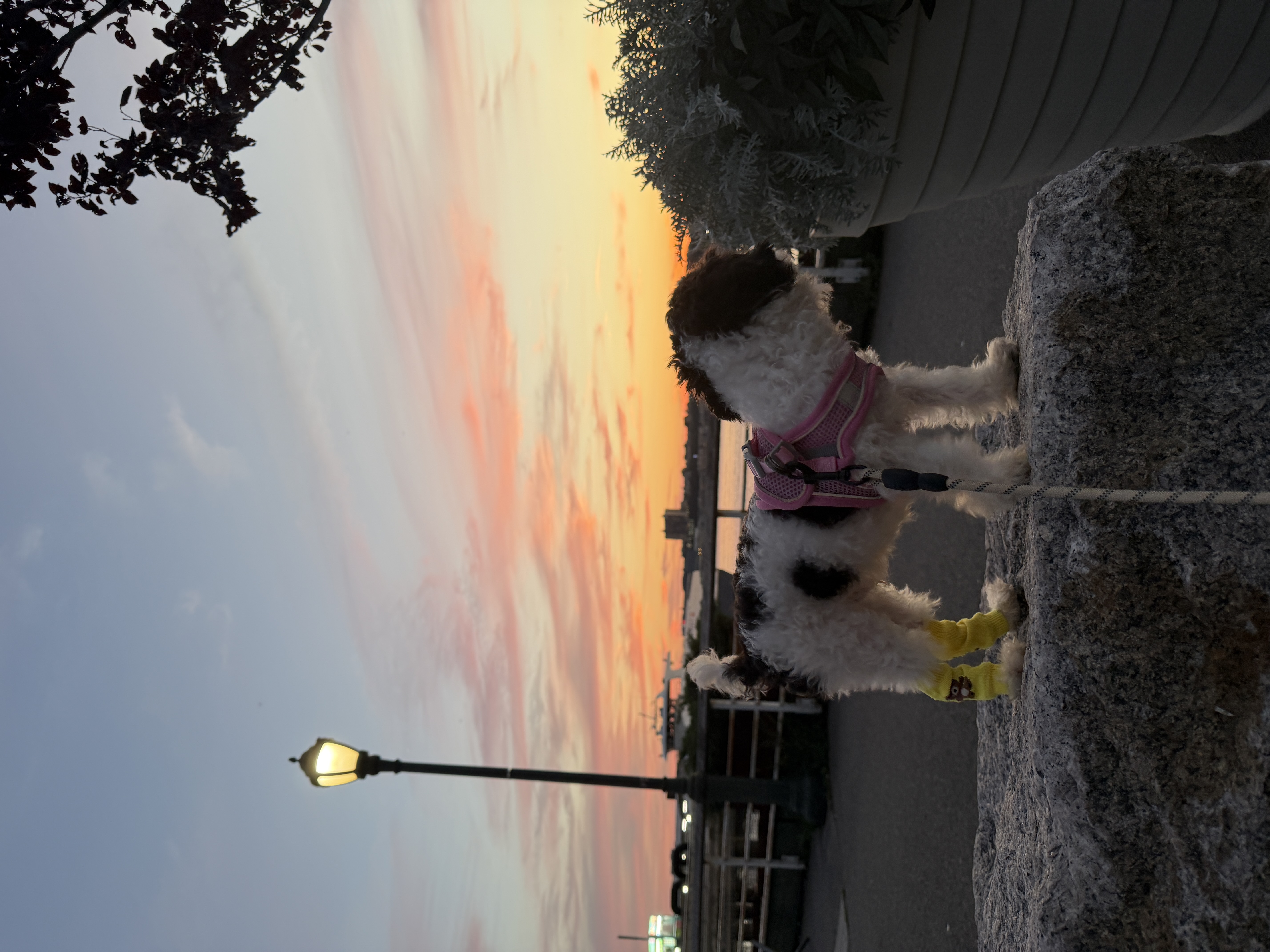 image-8