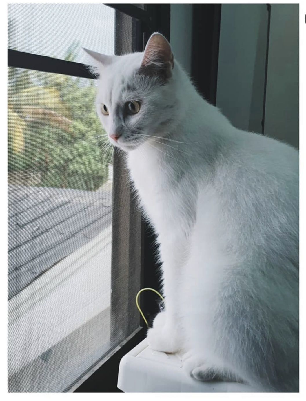image-6
