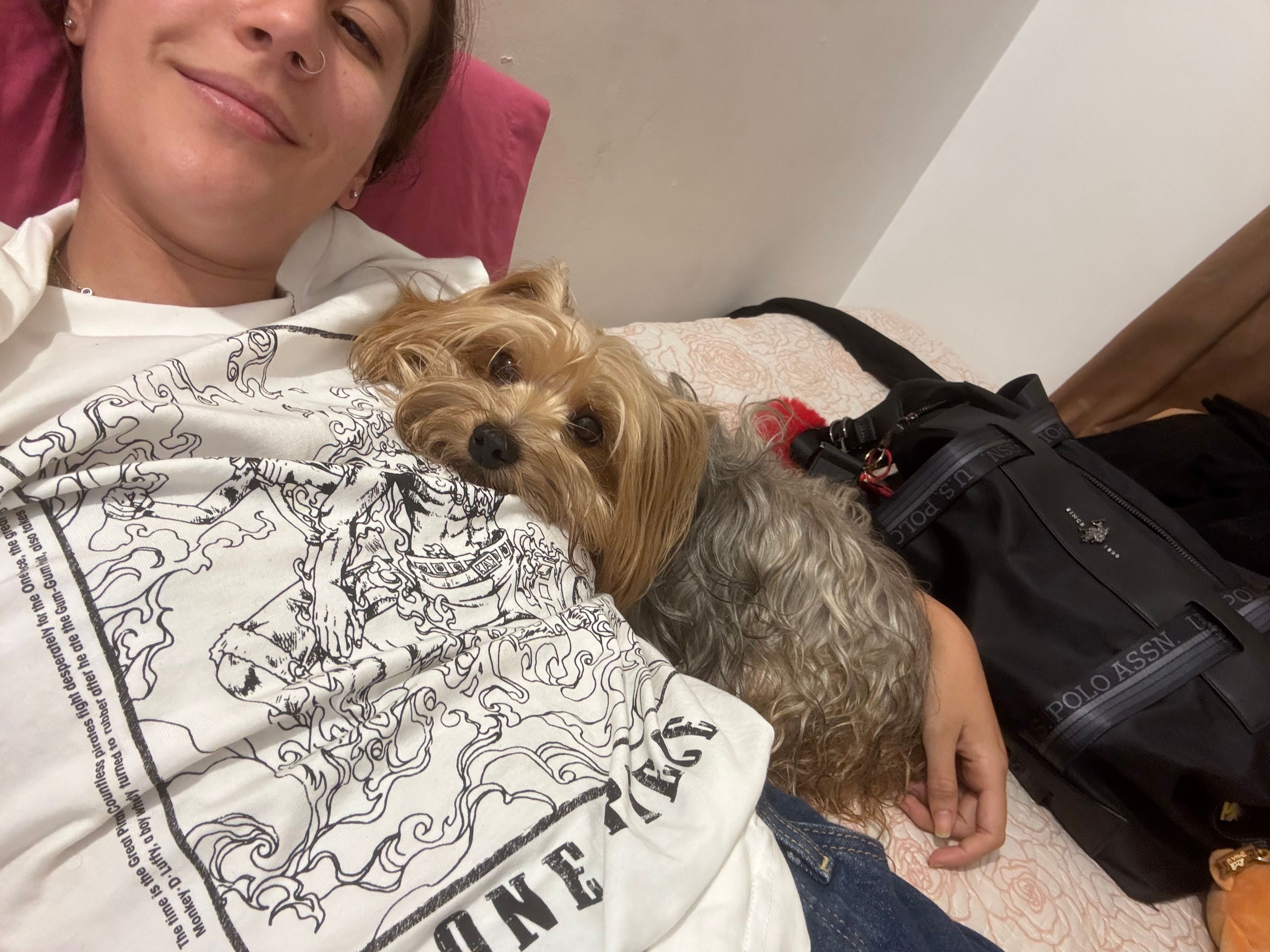 image-6