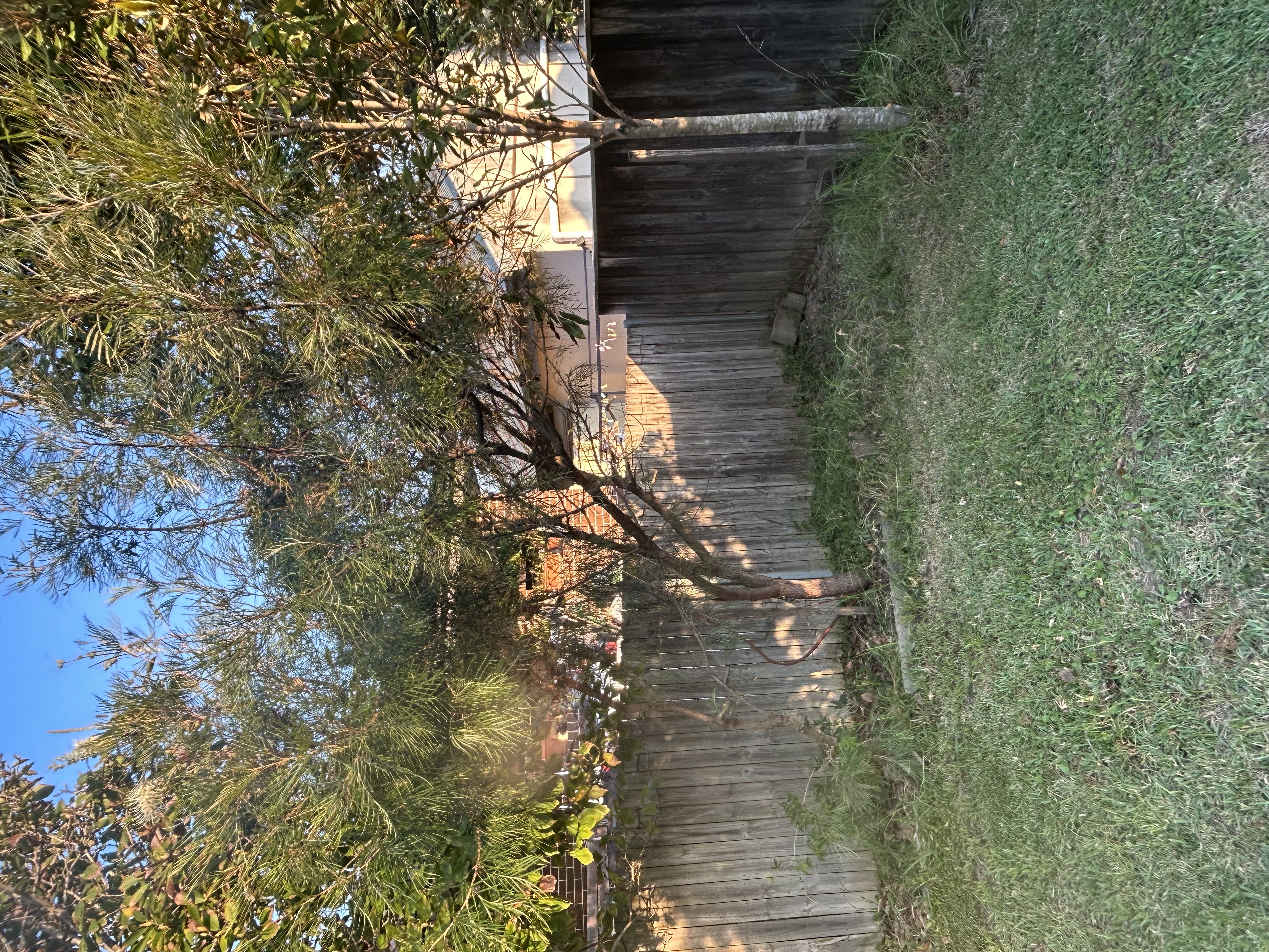 image-19