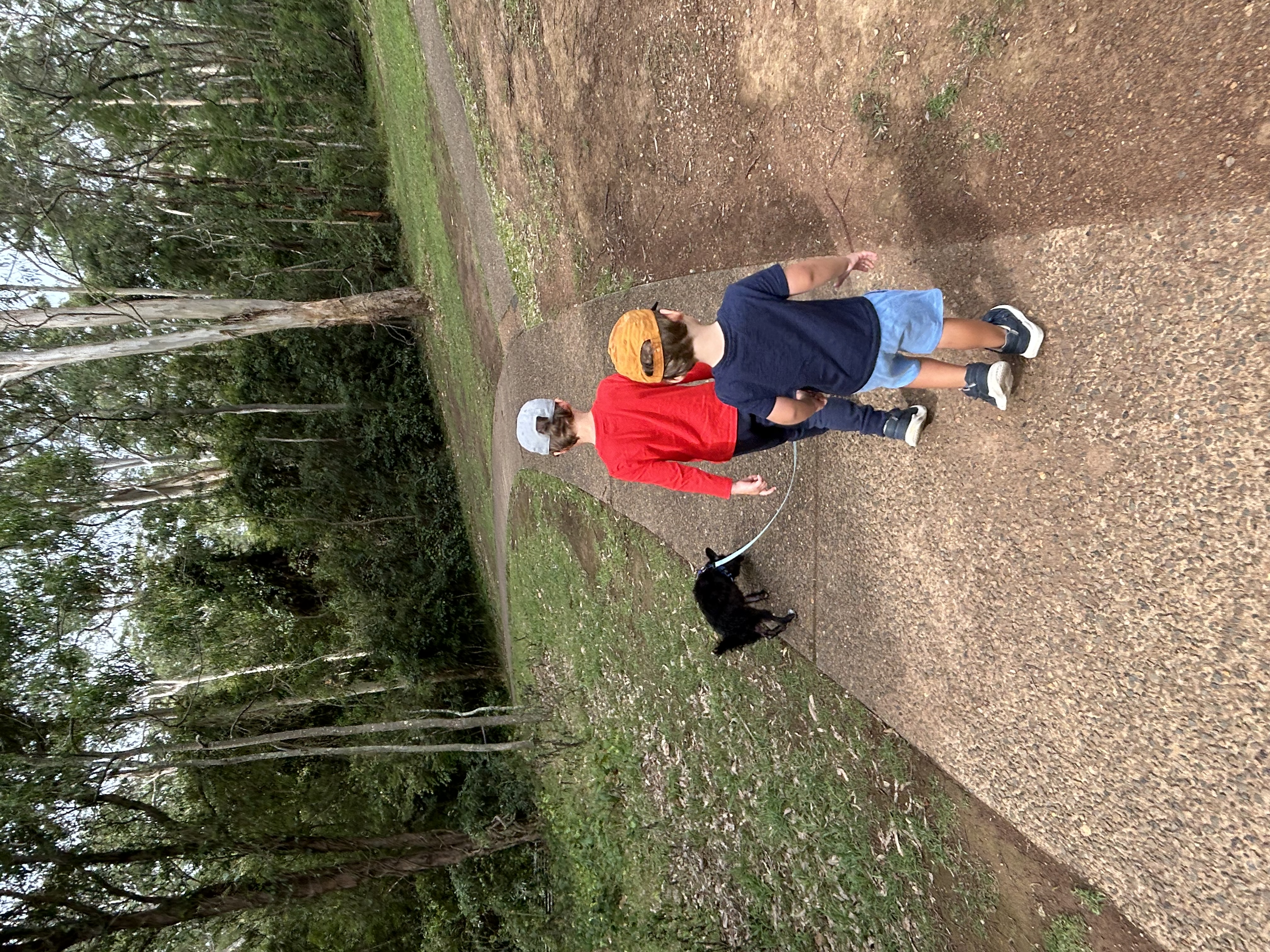 image-10