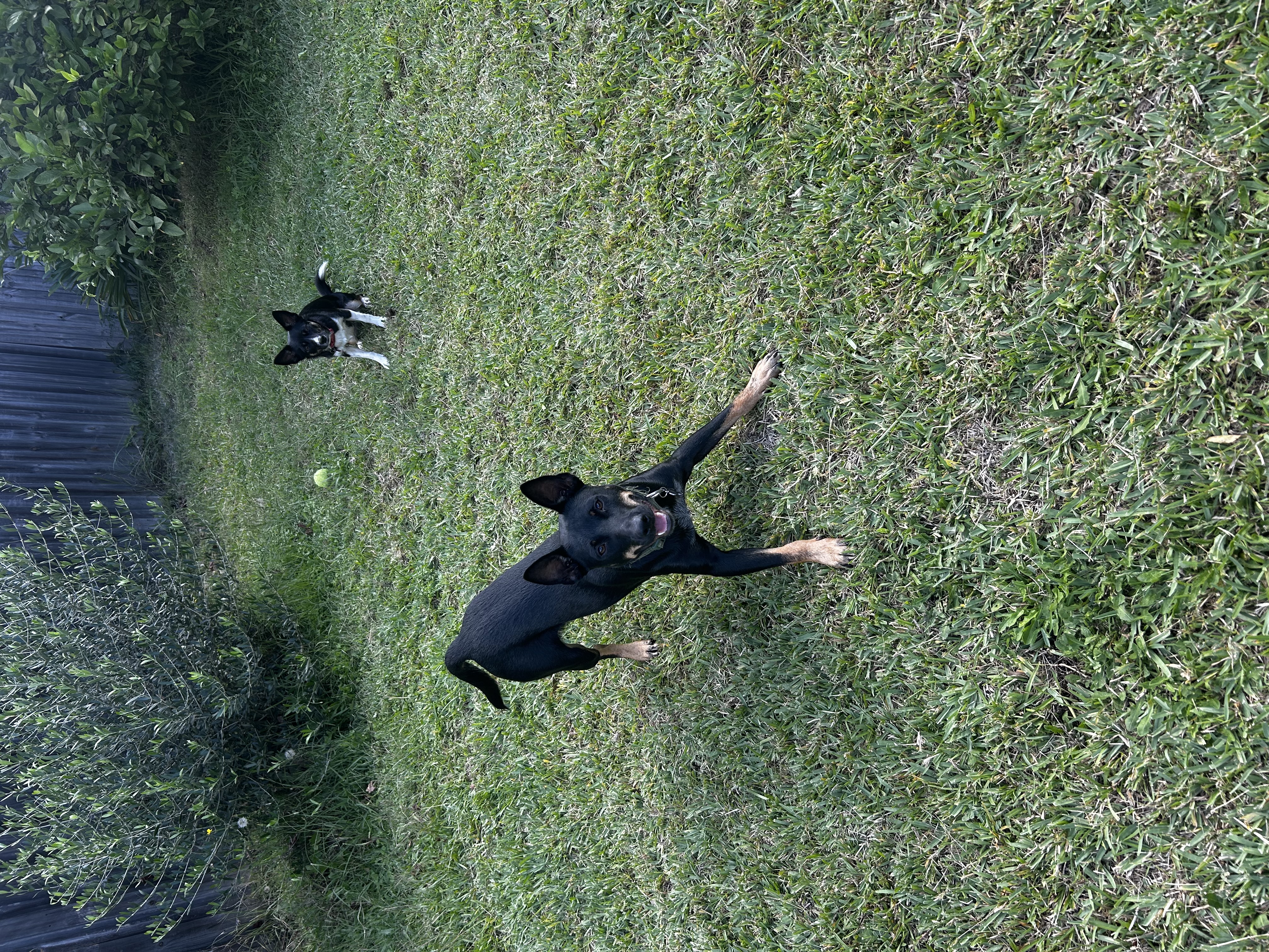 image-14
