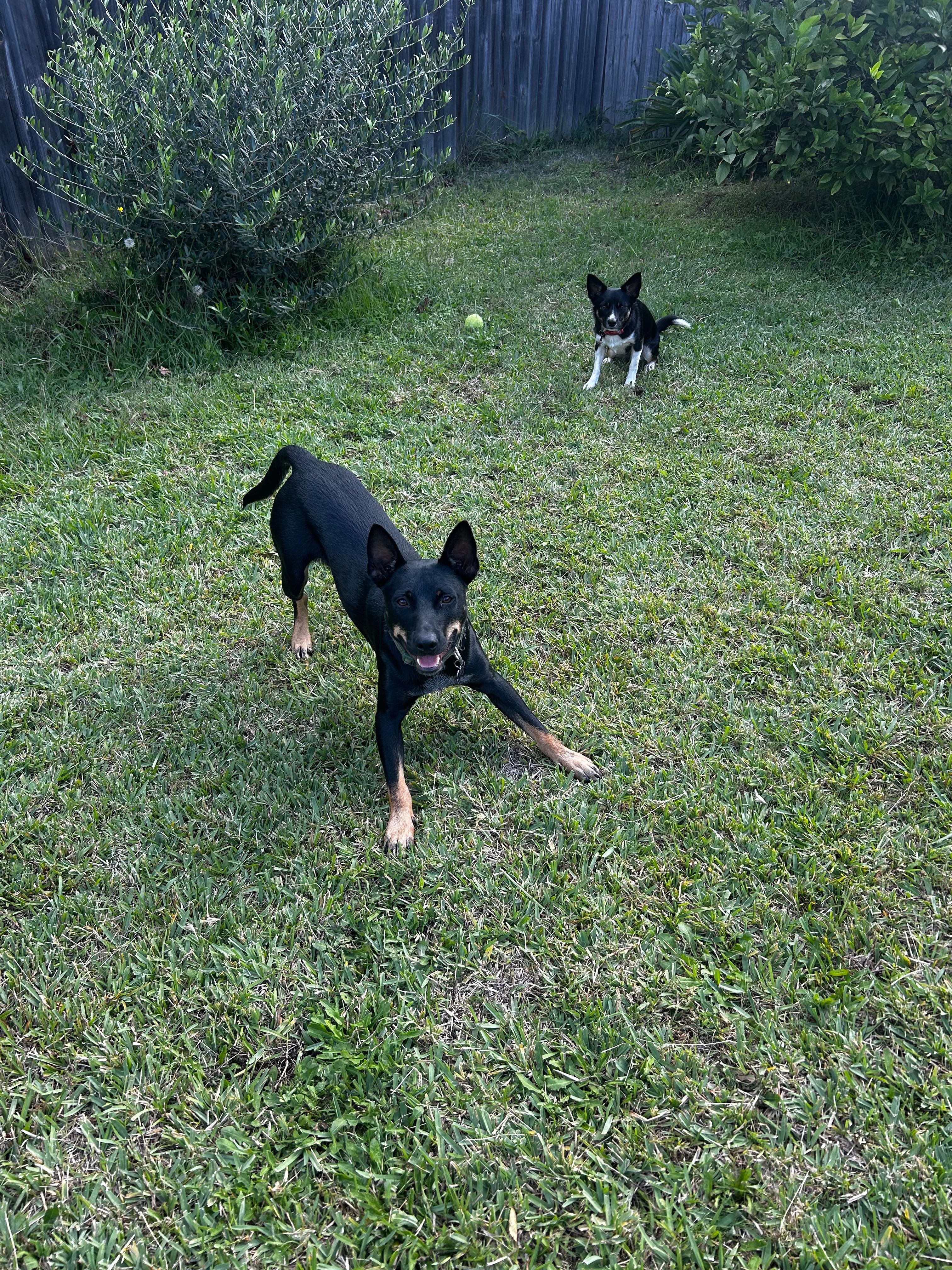 image-14