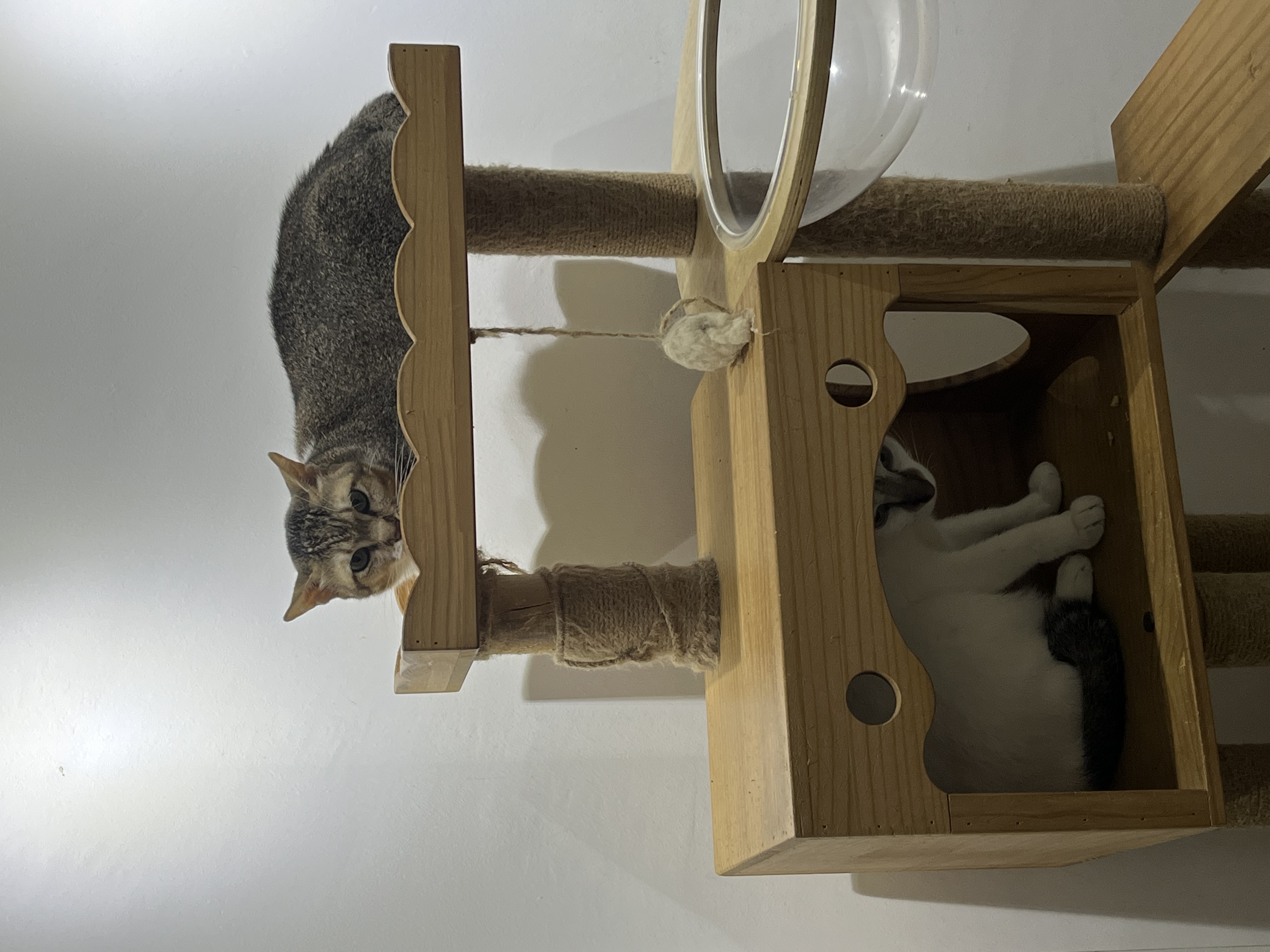 image-8