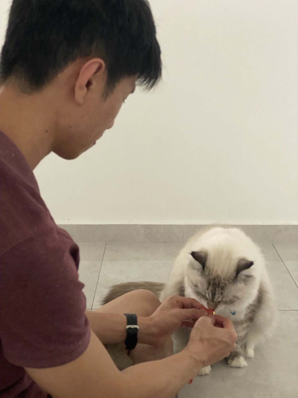 image-6
