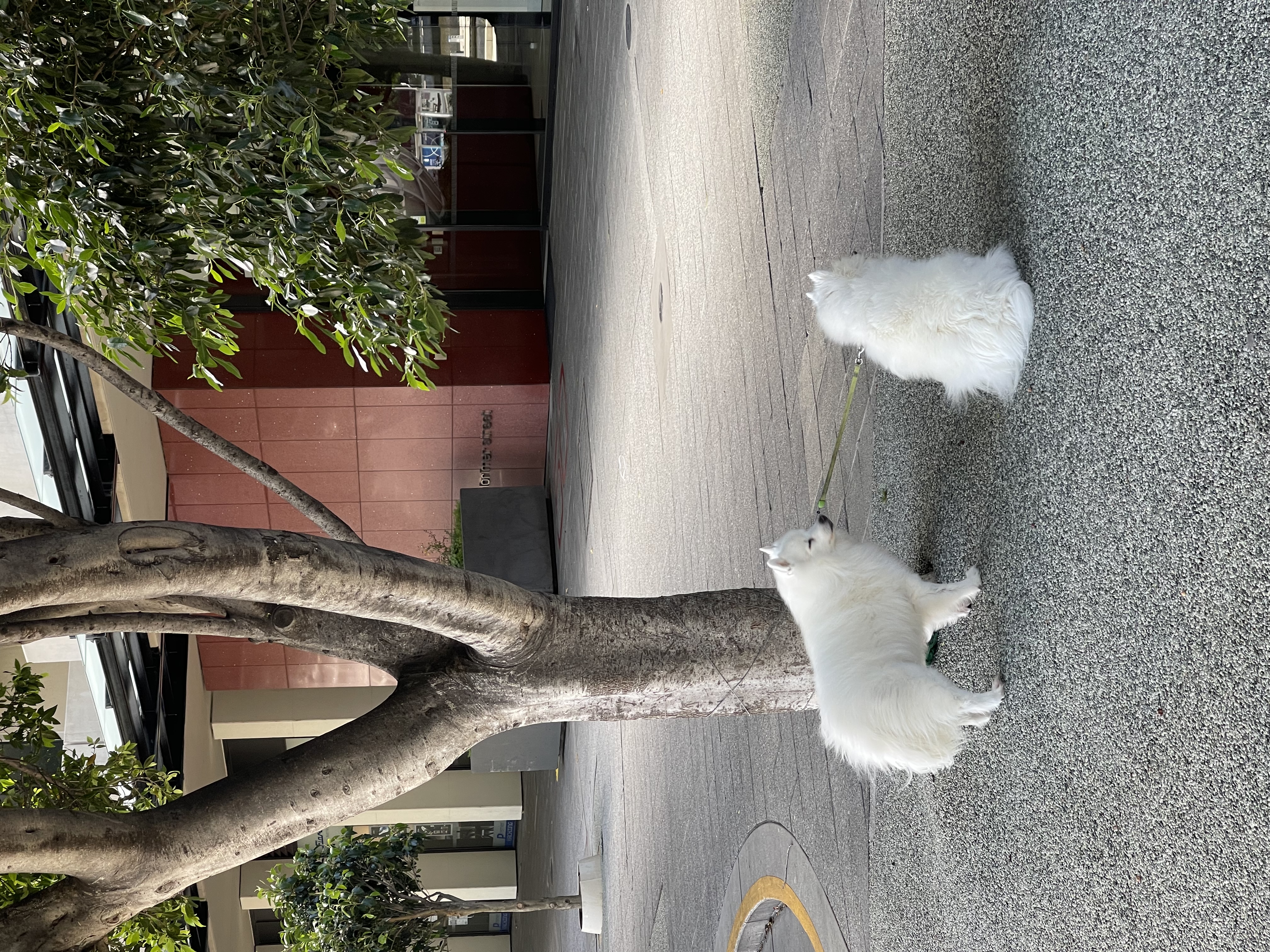 image-17