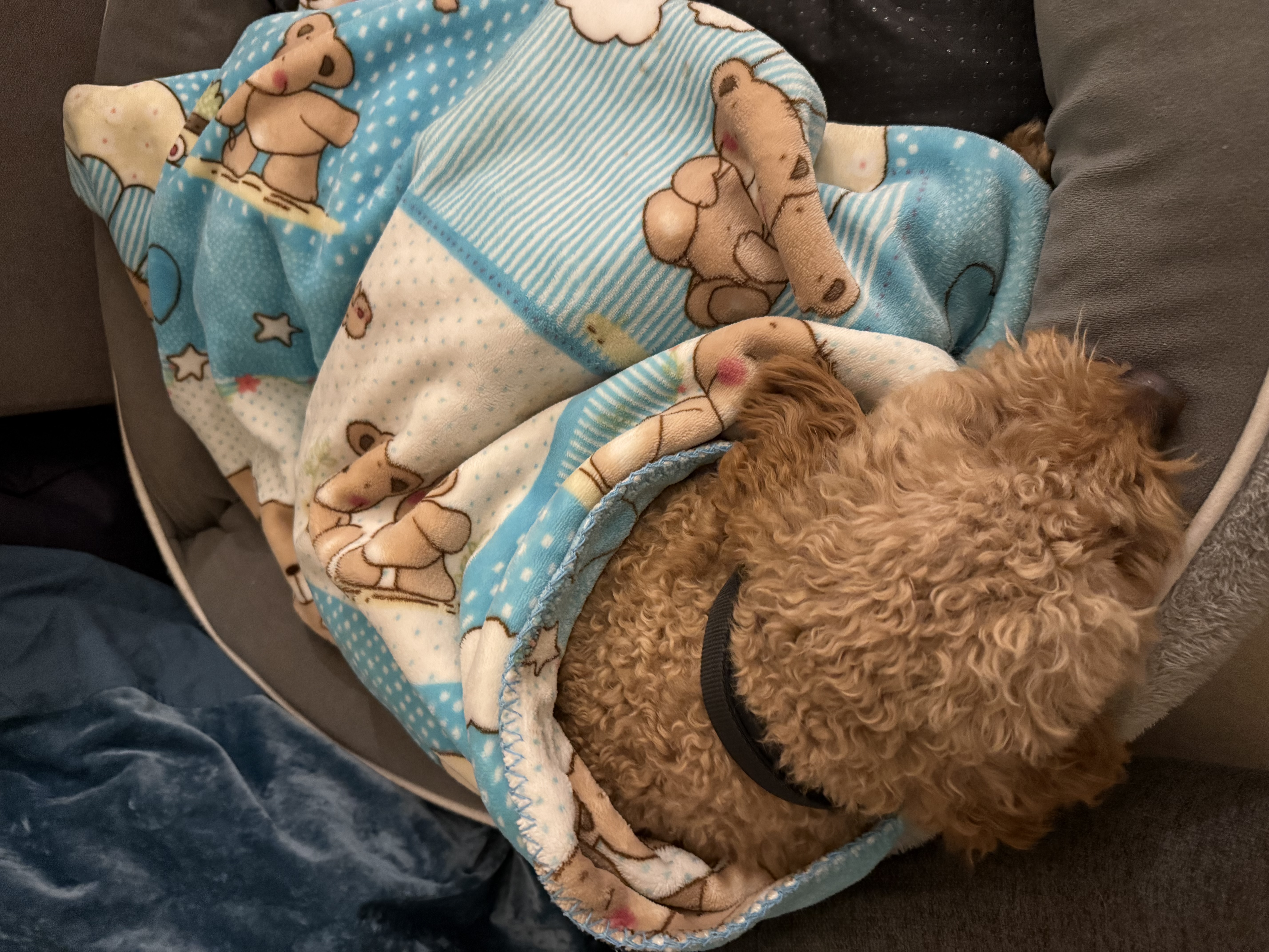 image-9