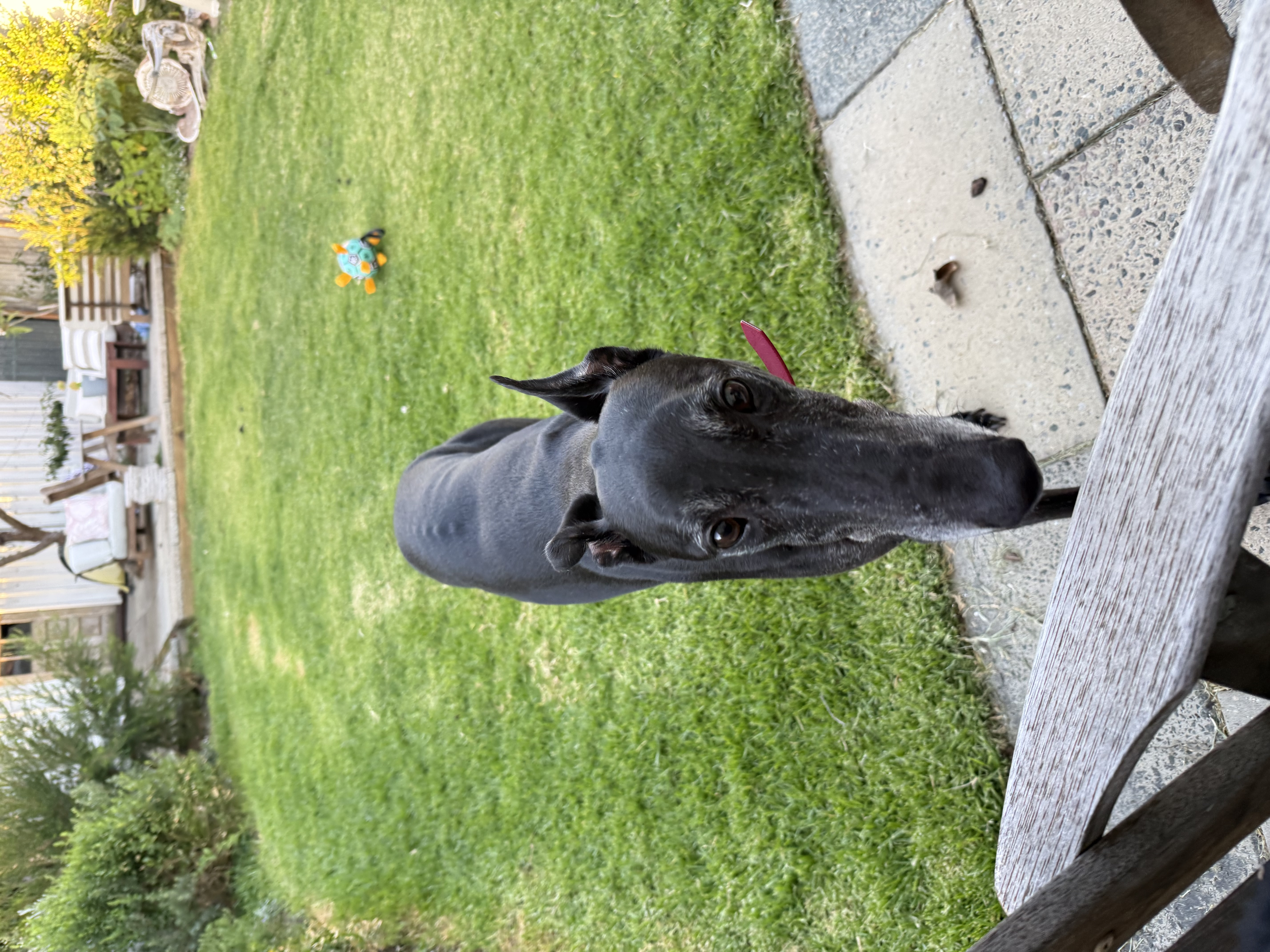 image-16