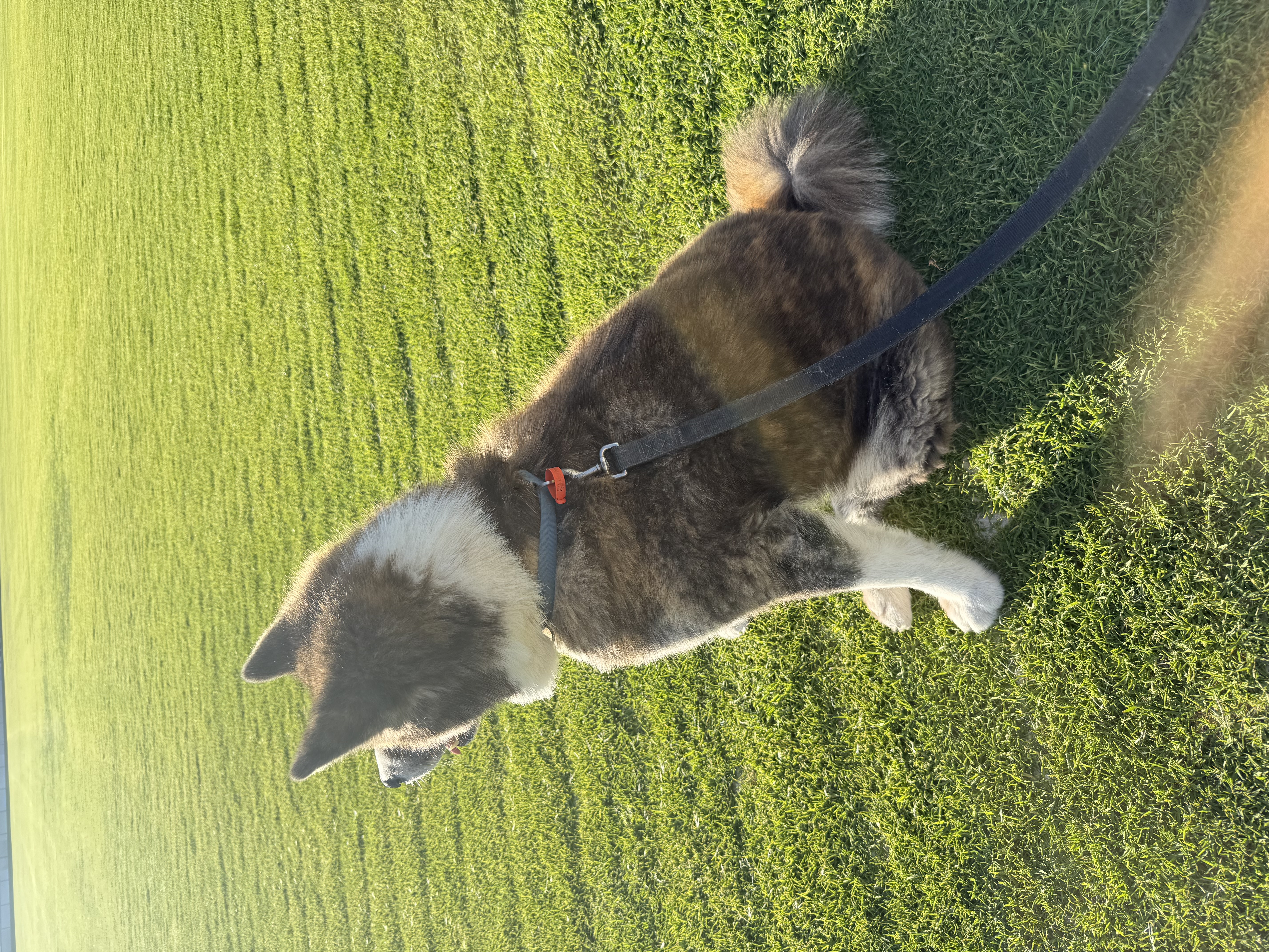 image-5