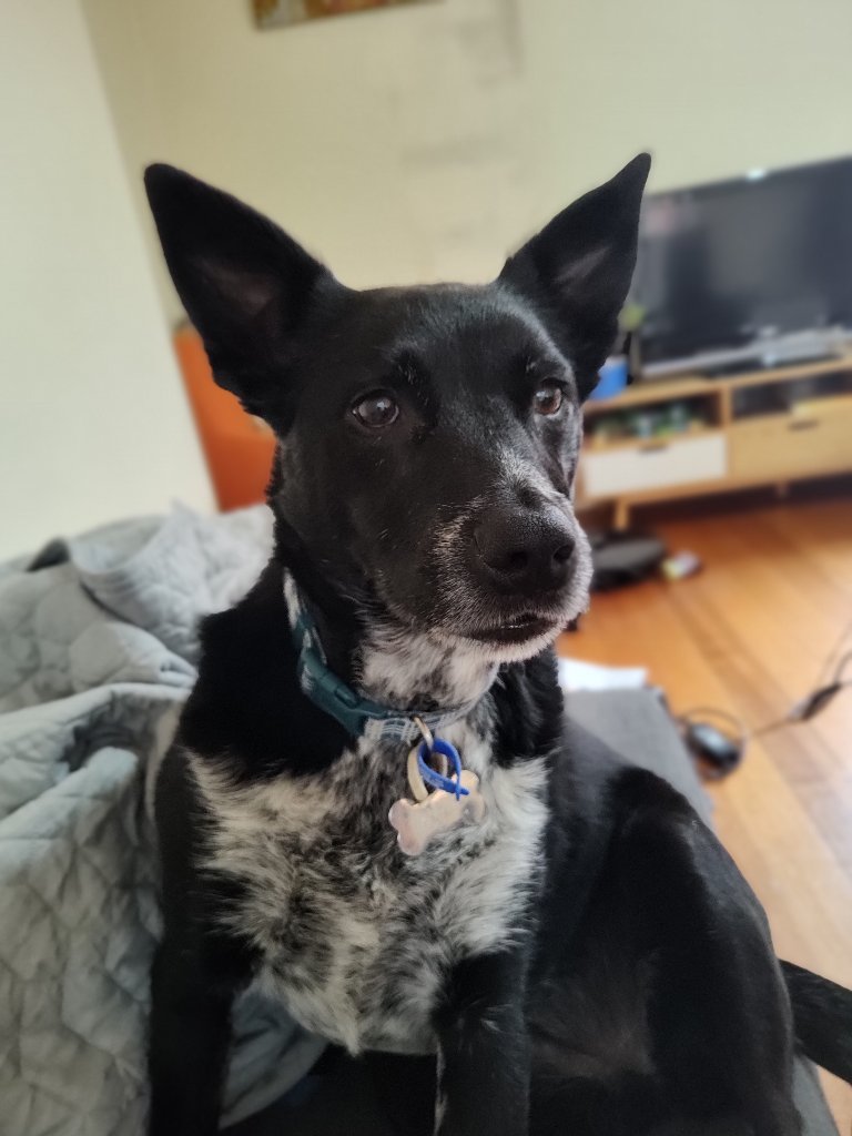 Prue