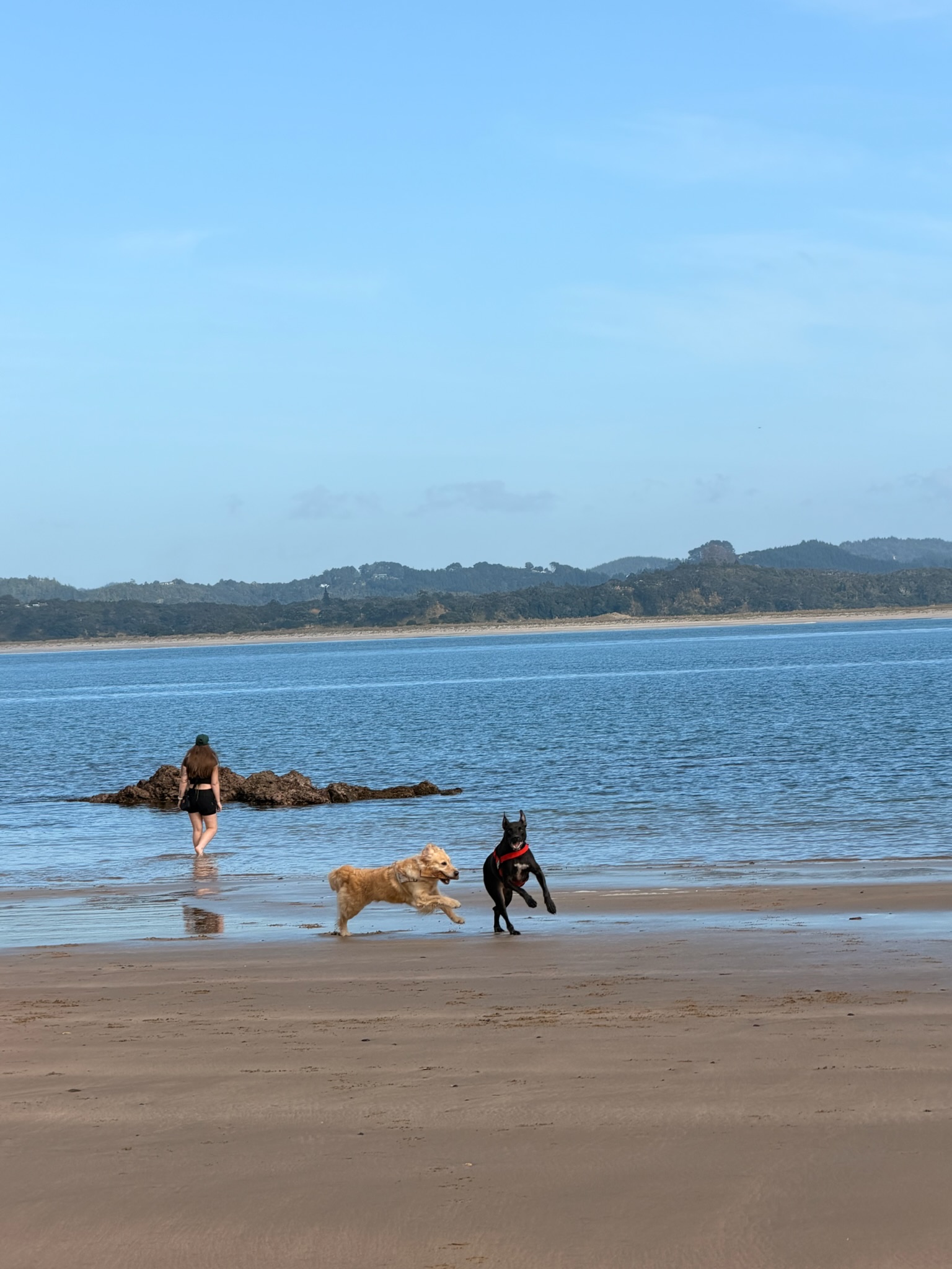 image-2