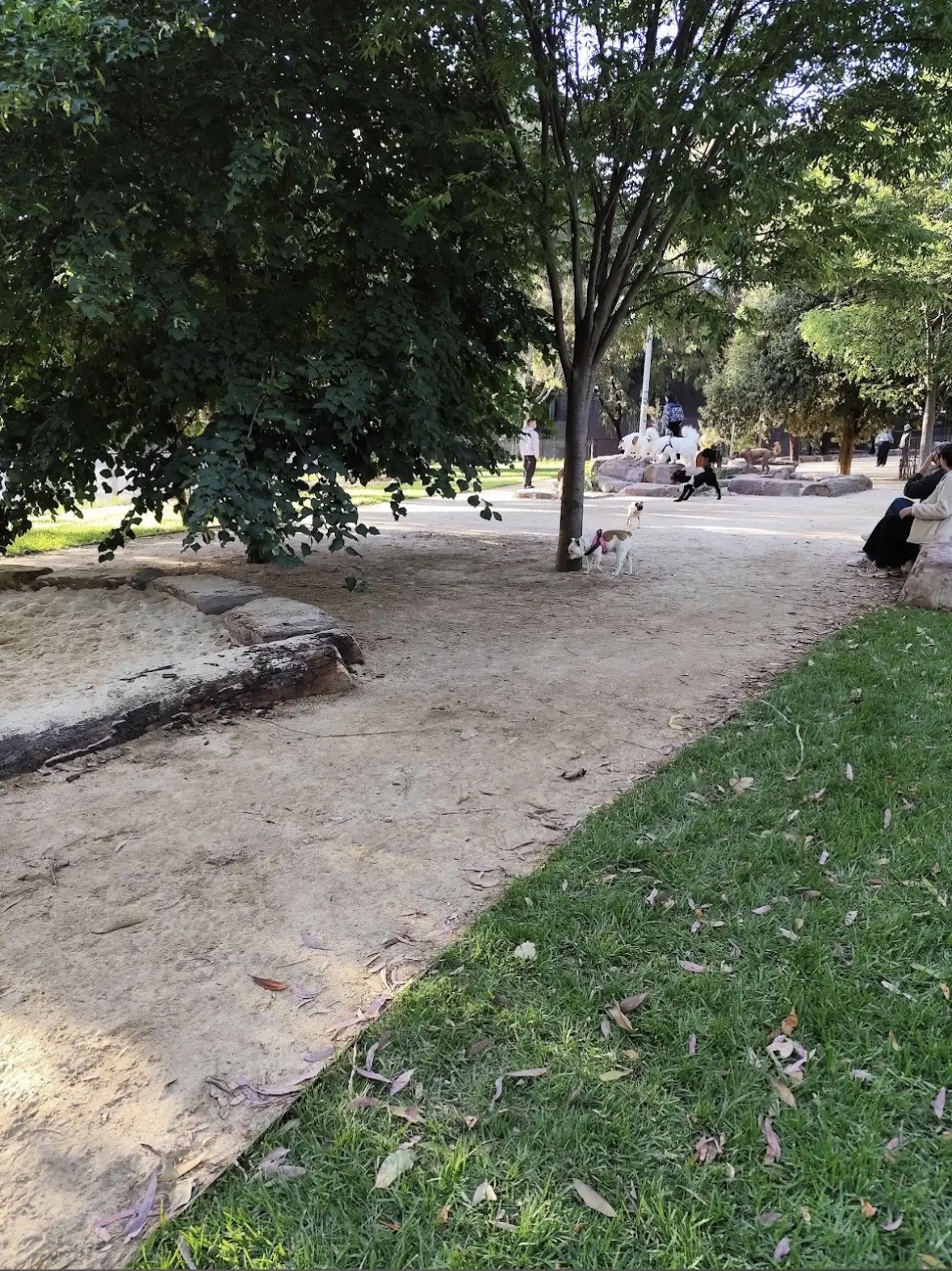 image-12