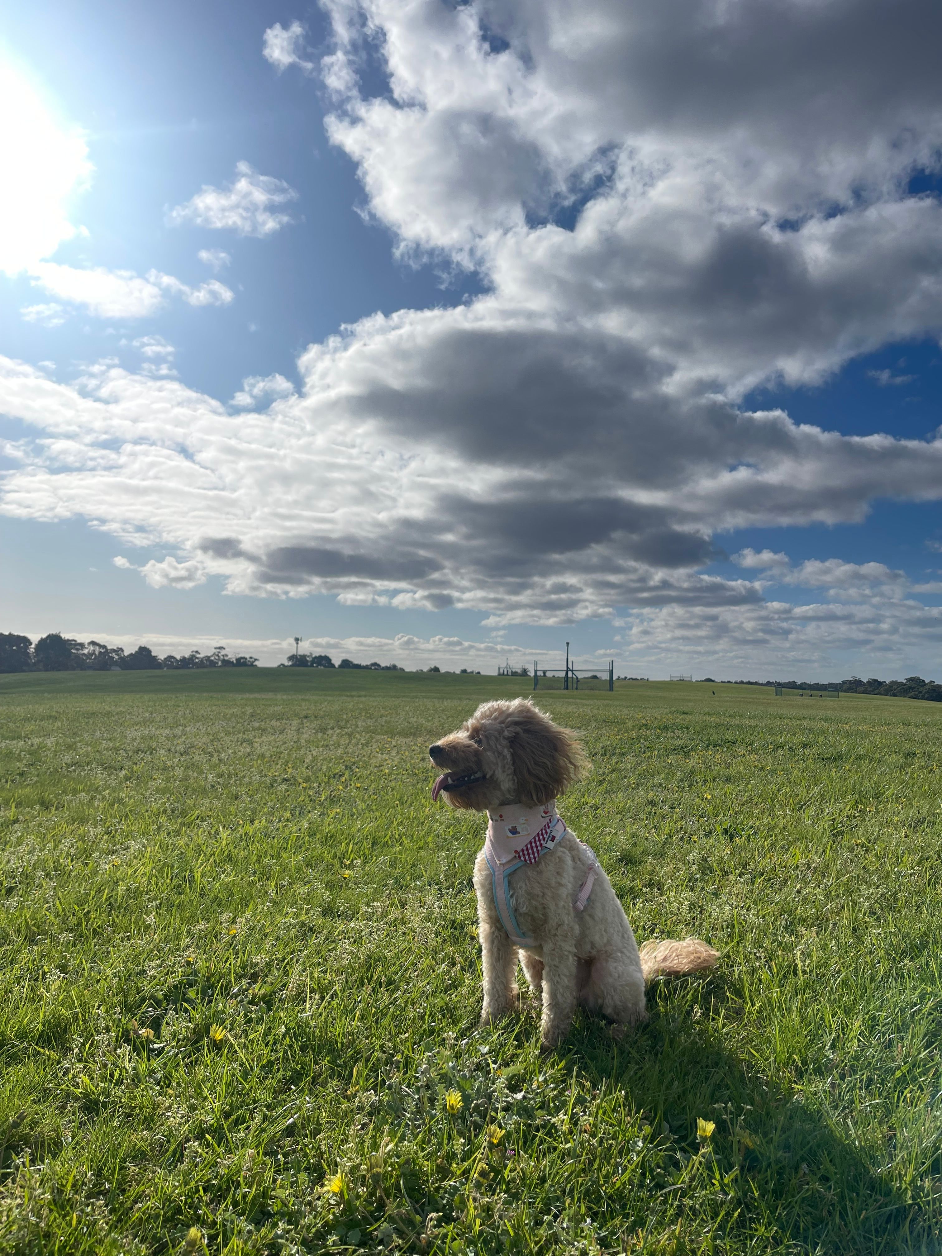 image-6
