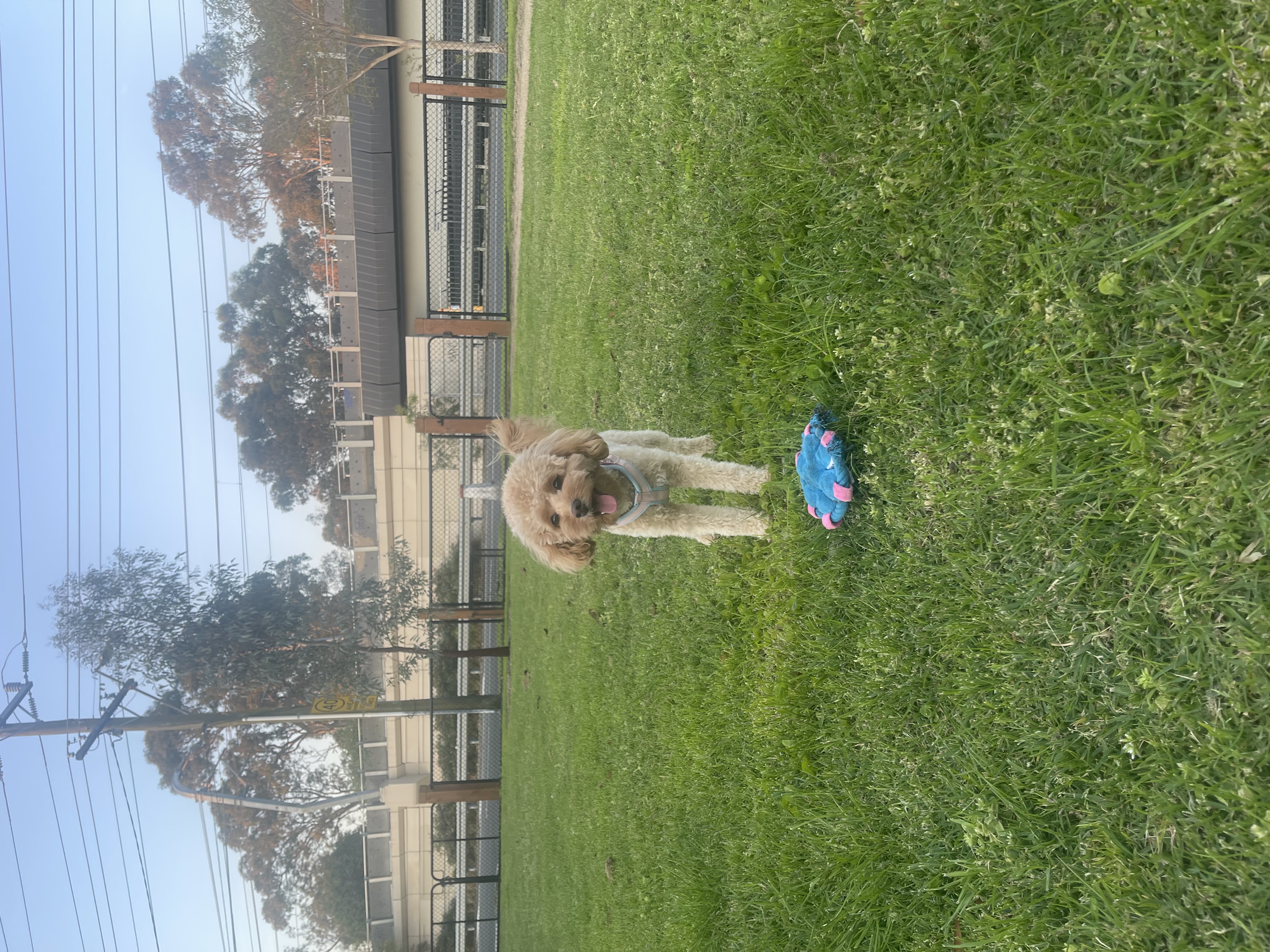 image-5