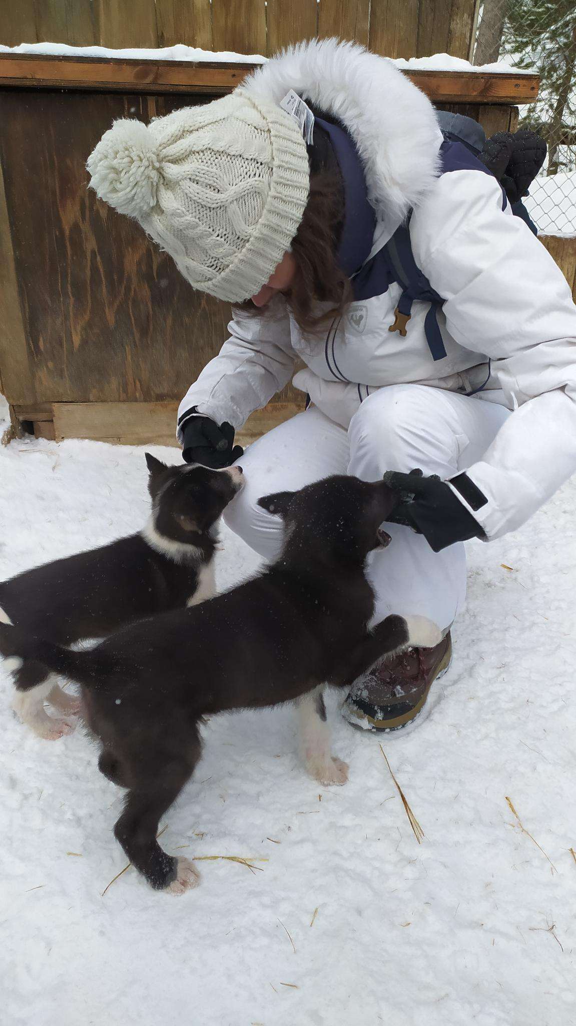image-8