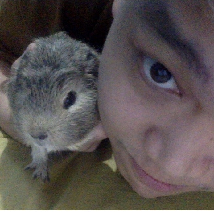 Porky