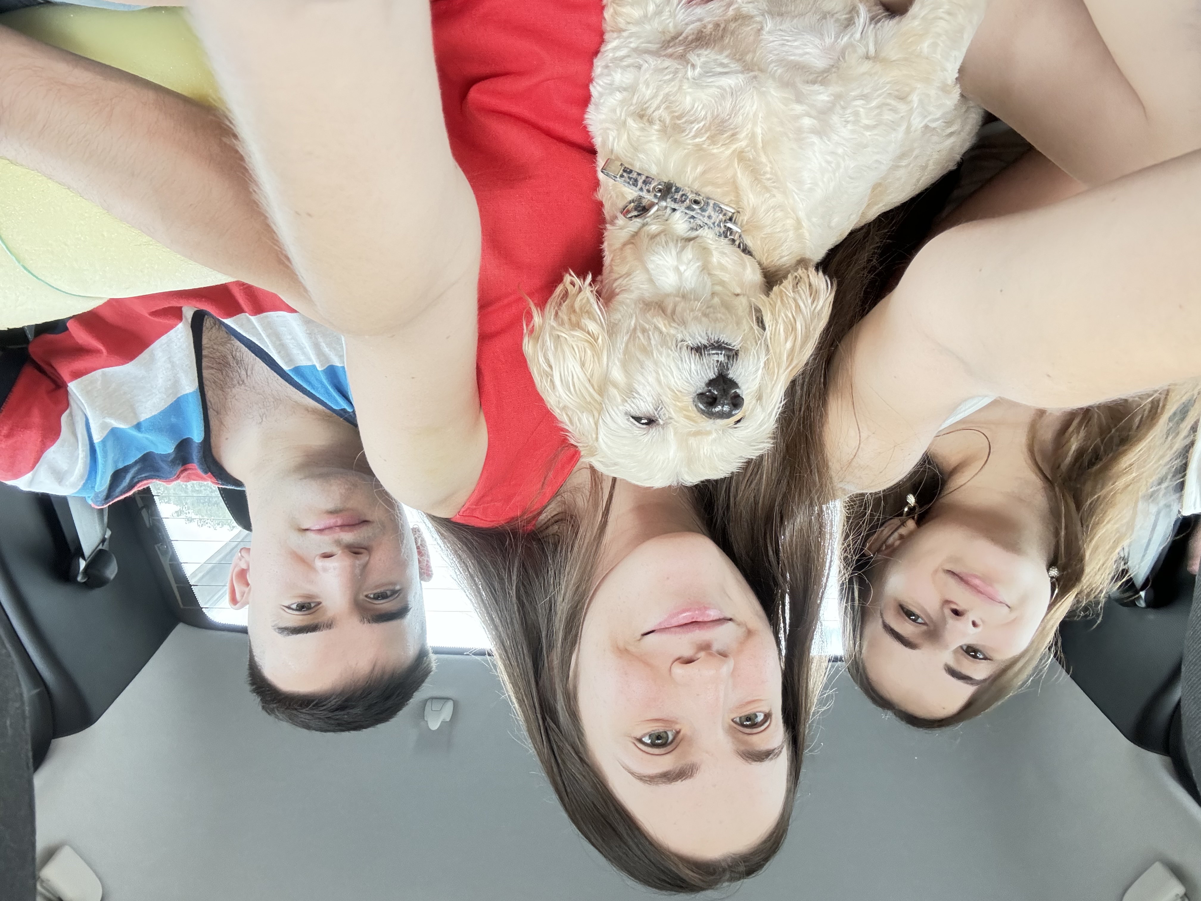 image-3