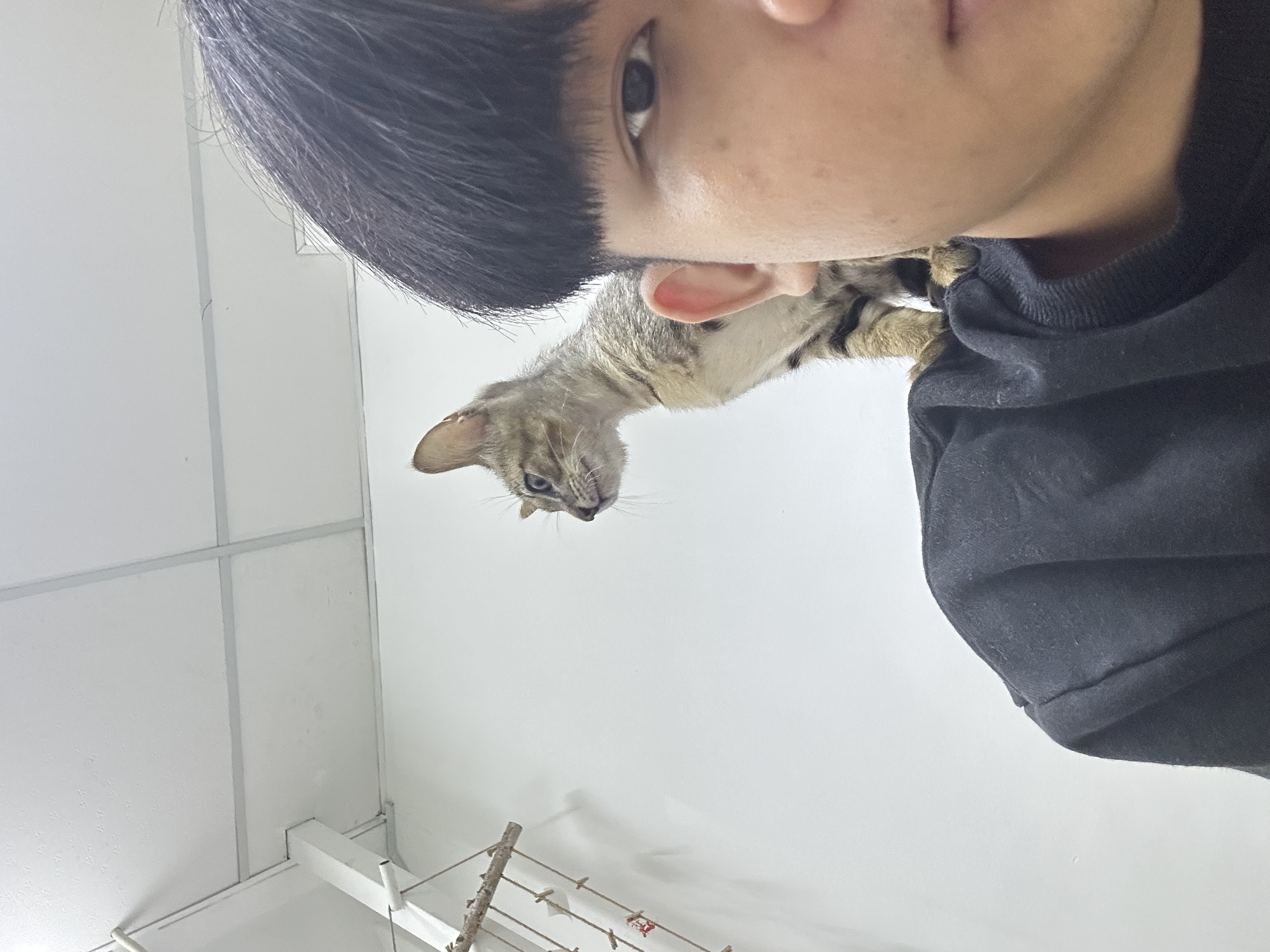 image-4
