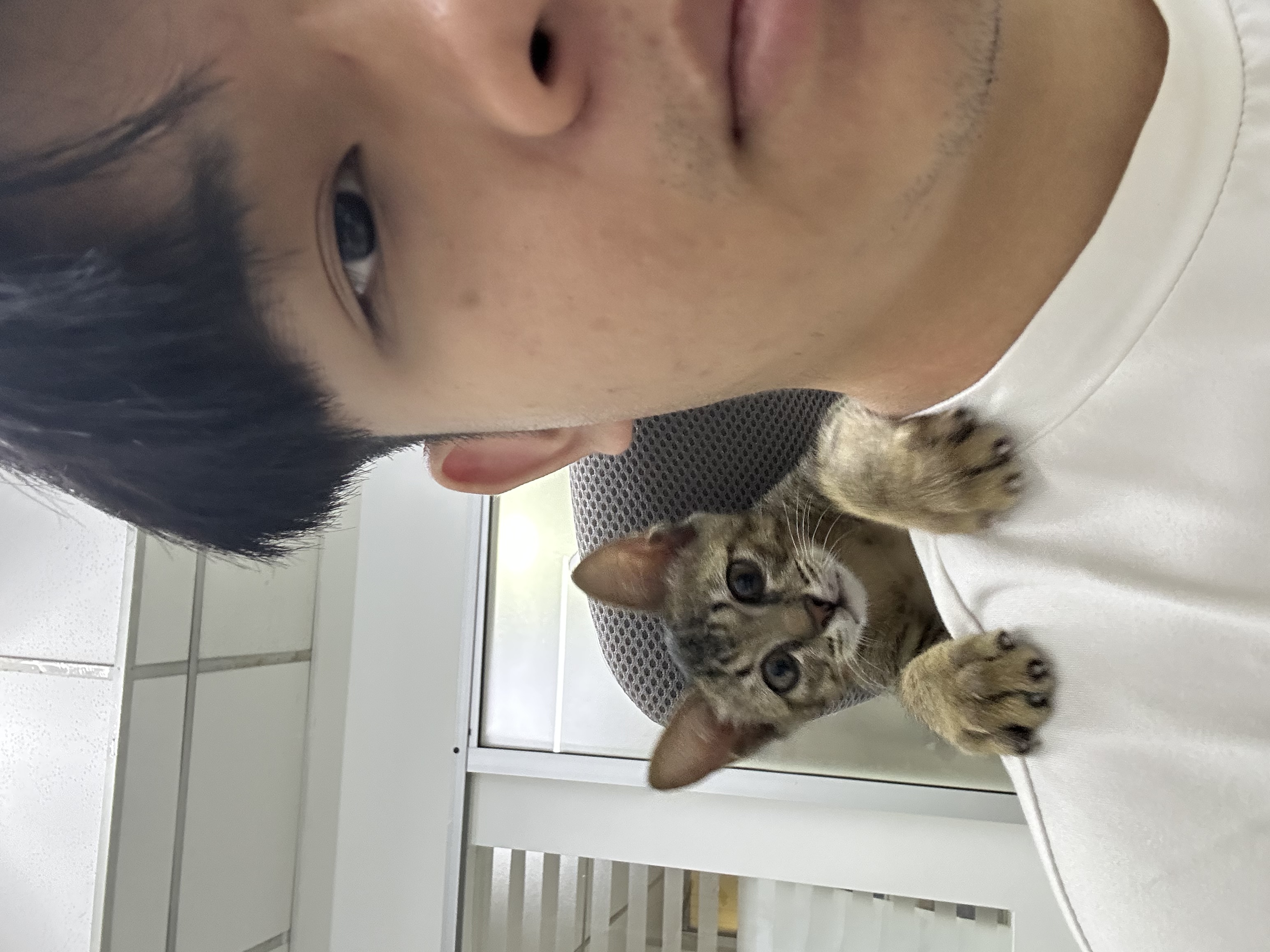 image-5